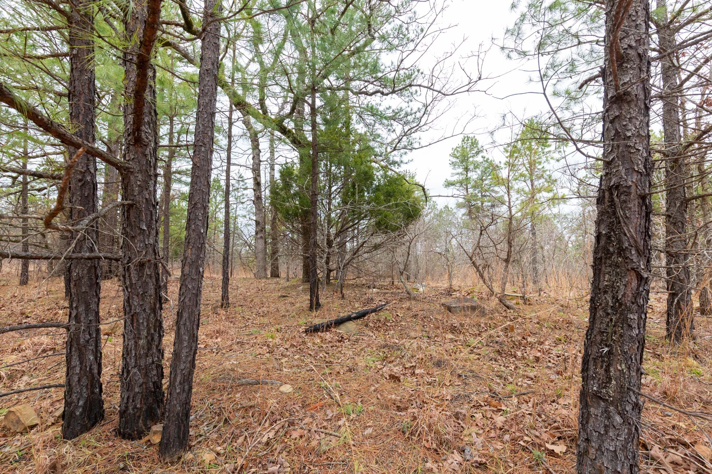 Stone Bridge Phase III Tract 174 photo 9