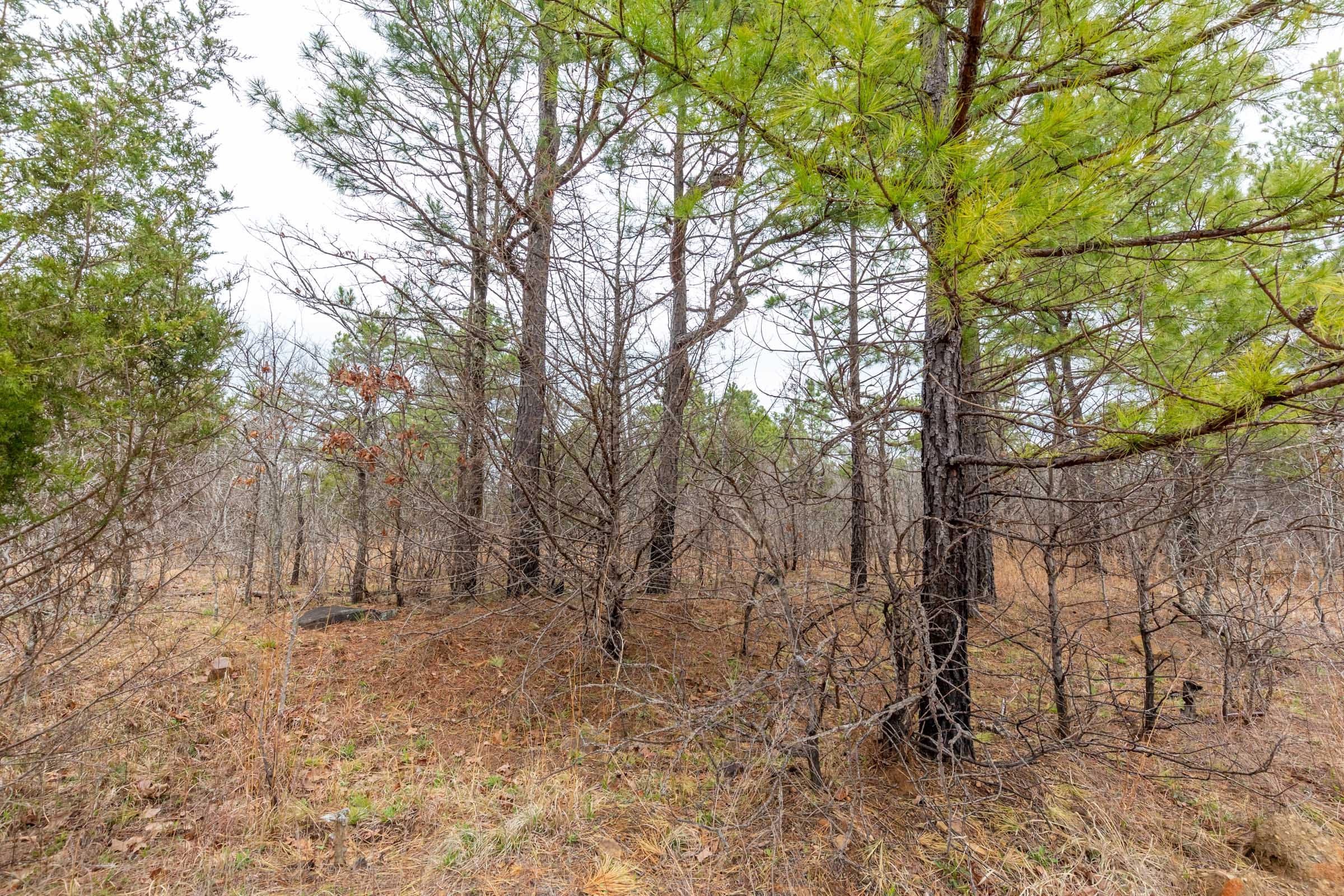 Stone Bridge Phase III Tract 174 photo 10