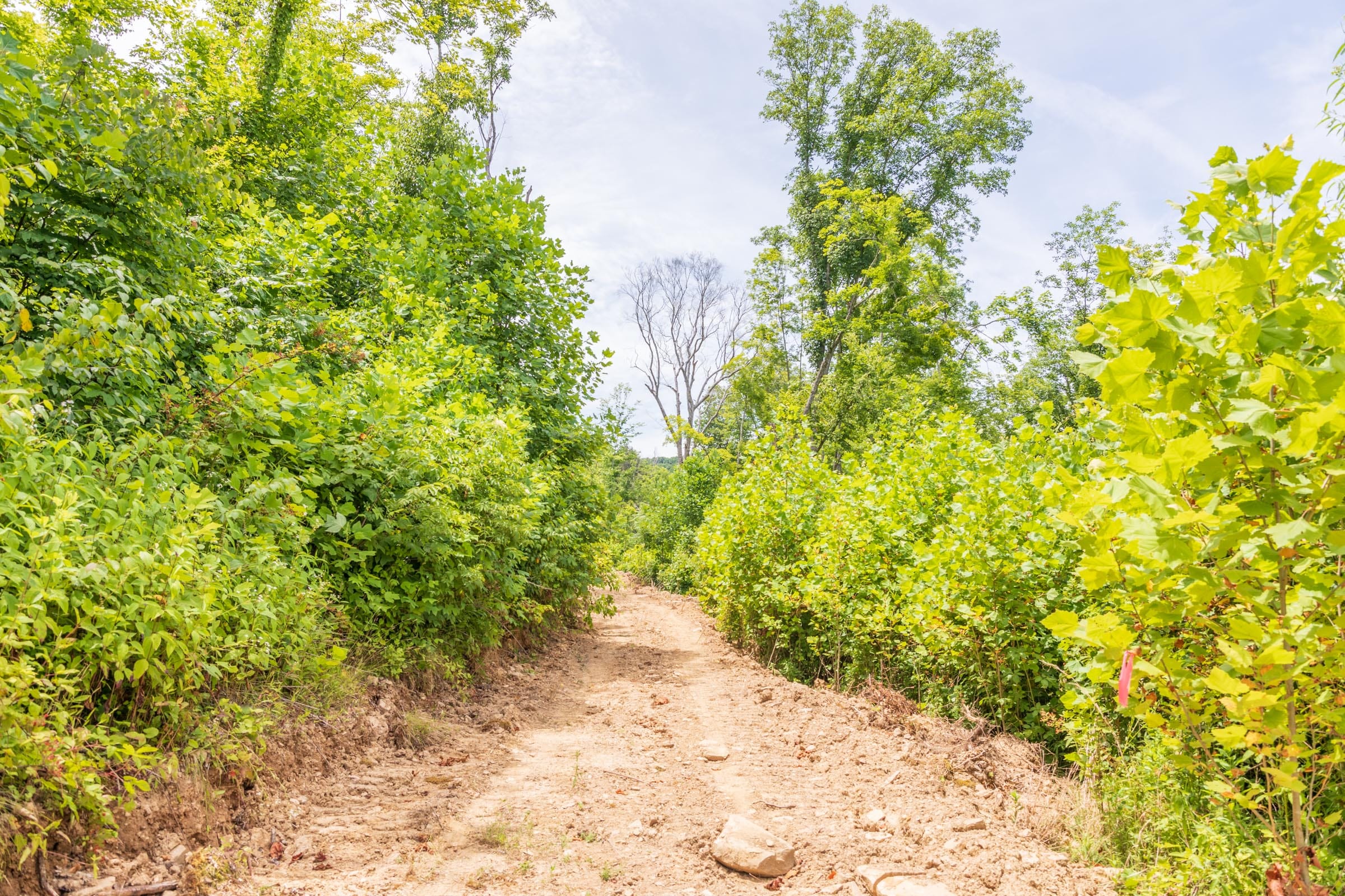 River’s Edge Tract 25 photo 1