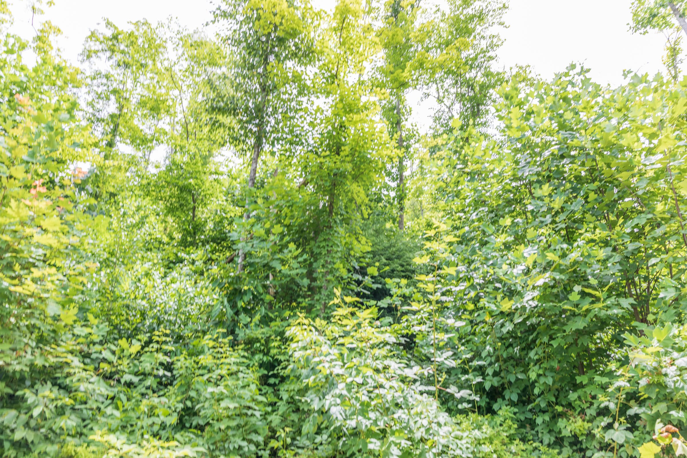 River’s Edge Tract 25 photo 3