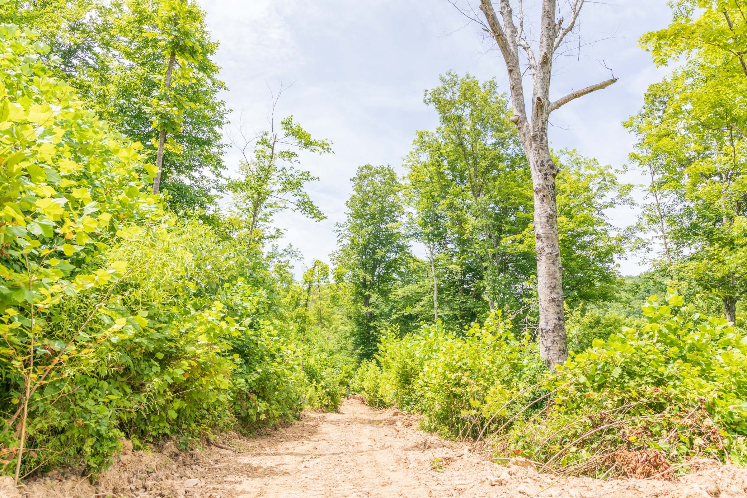 River’s Edge Tract 25 photo 6
