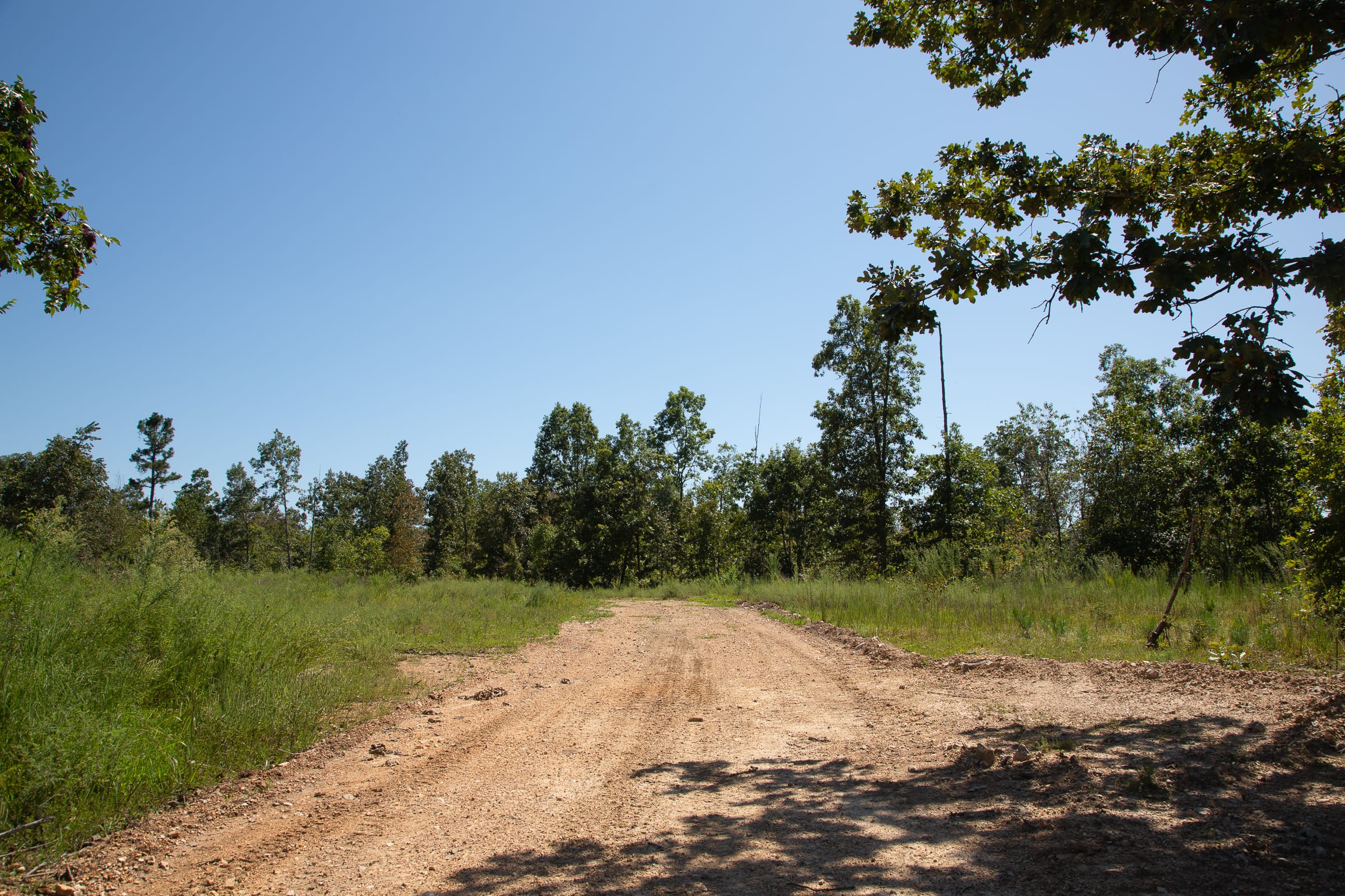 Borgmann’s Hollow Phase III Tract 81 photo 1