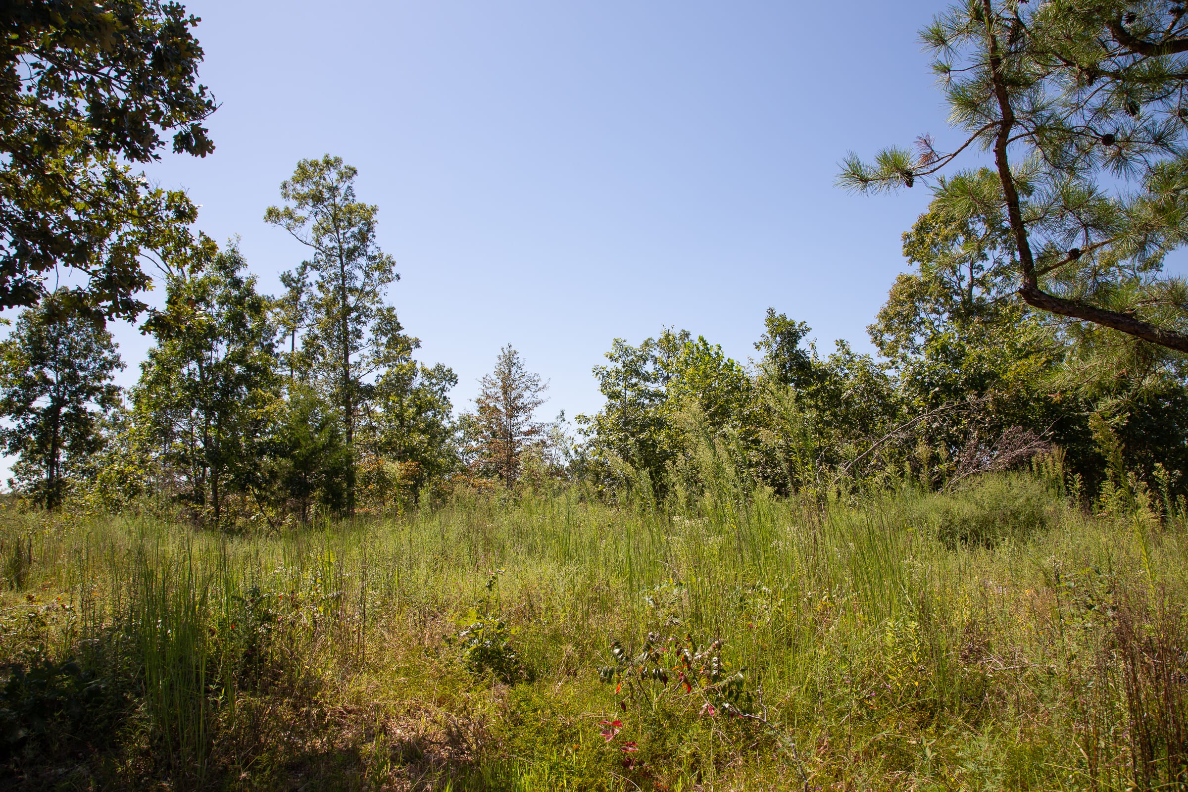 Borgmann’s Hollow Phase III Tract 81 photo 2