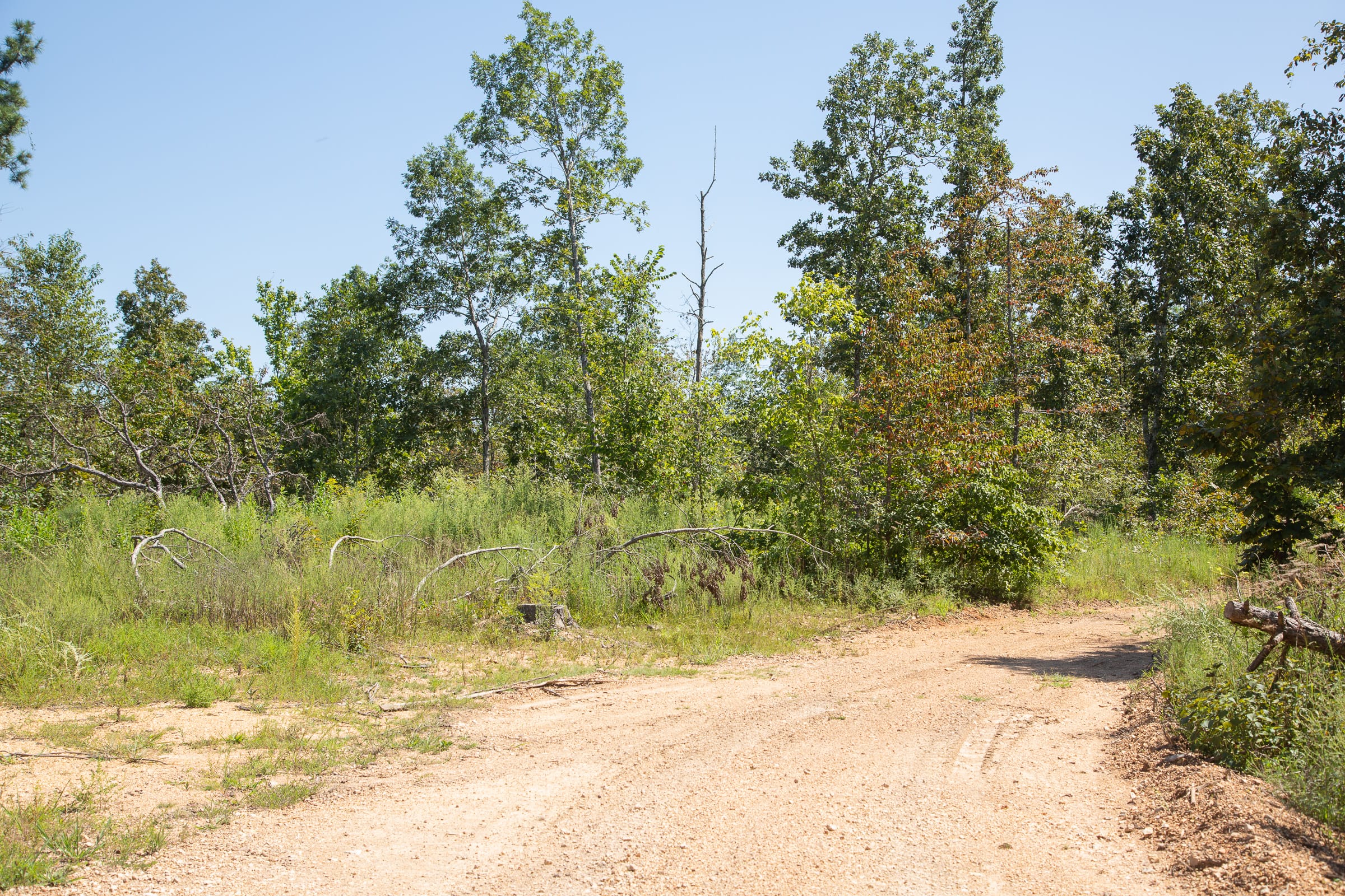 Borgmann’s Hollow Phase III Tract 81 photo 6