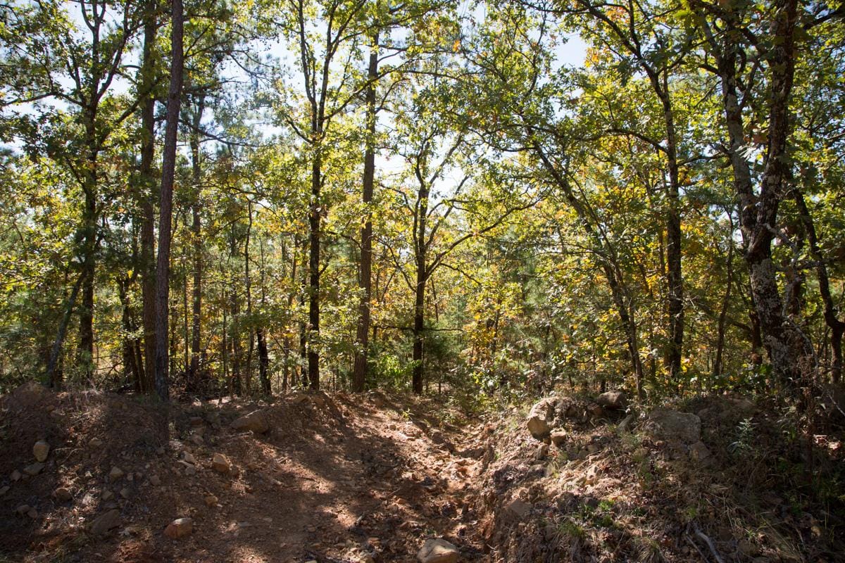 Stone Creek Phase I Tract 167 photo 2