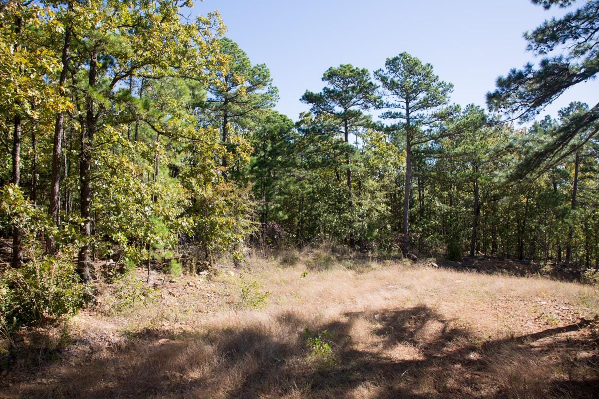 Stone Creek Phase I Tract 167 photo 3