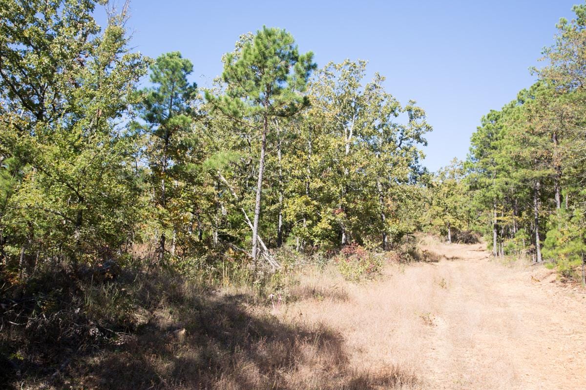 Stone Creek Phase I Tract 167 photo 4
