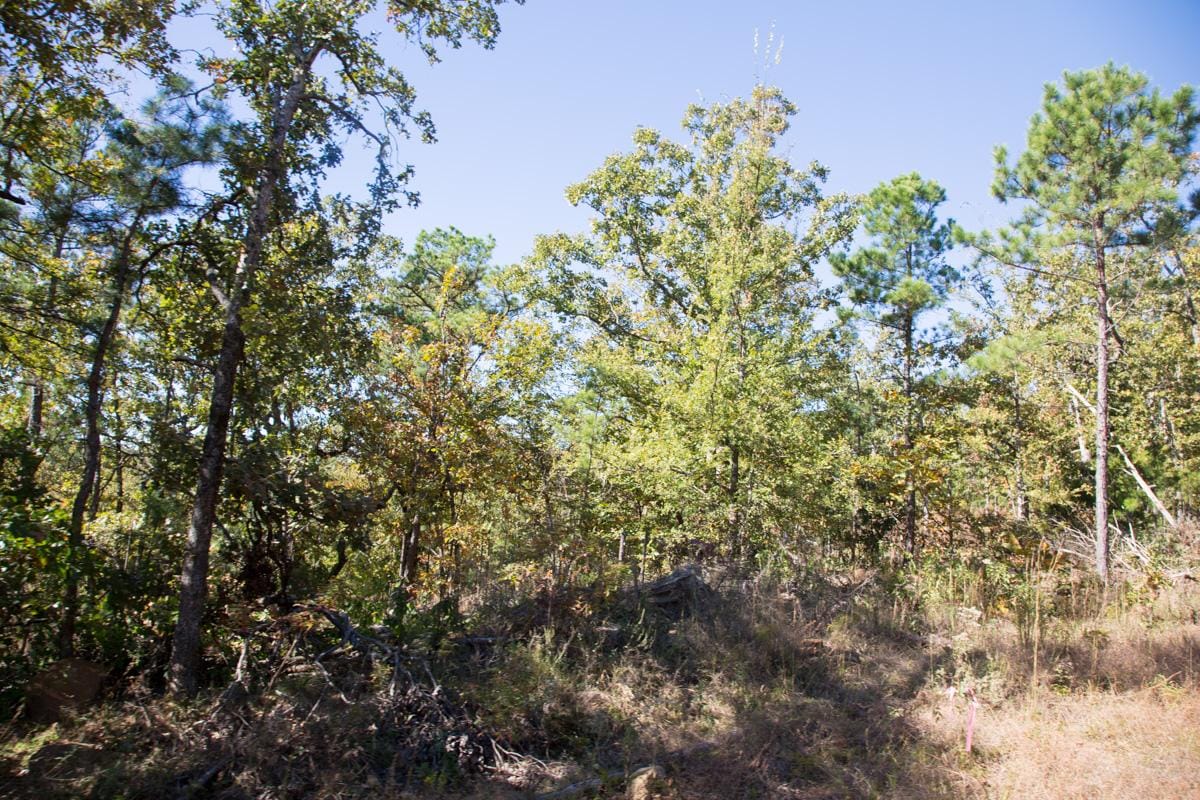 Stone Creek Phase I Tract 167 photo 5