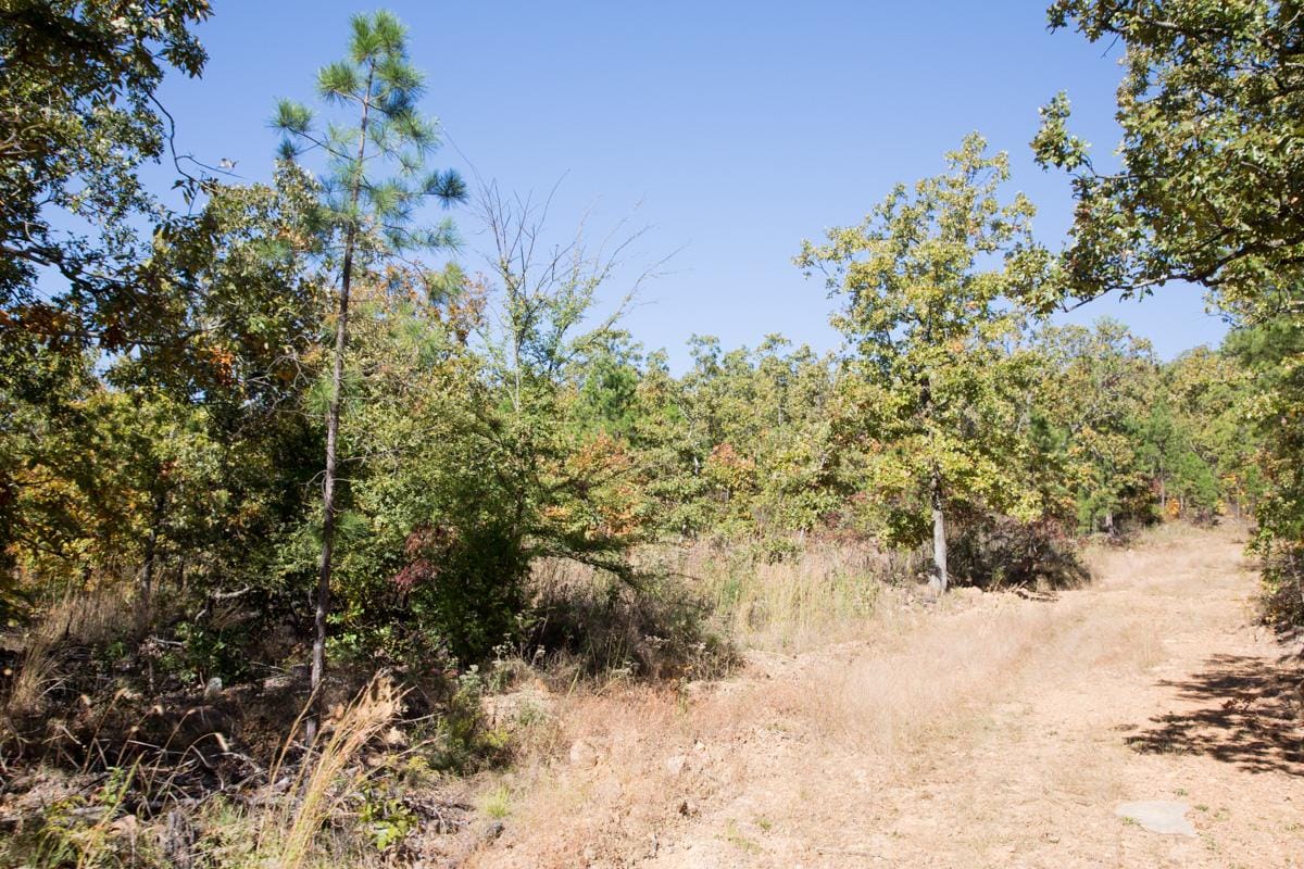Stone Creek Phase I Tract 167 photo 6