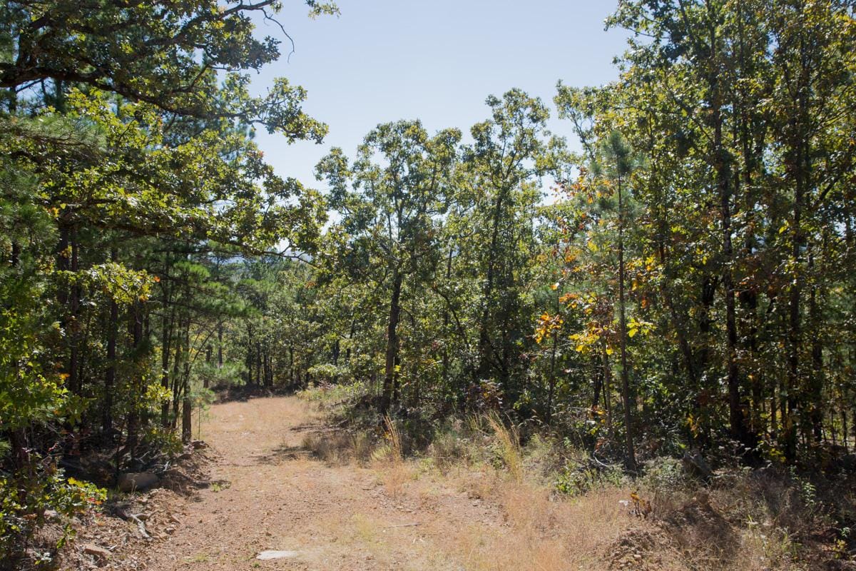 Stone Creek Phase I Tract 167 photo 8