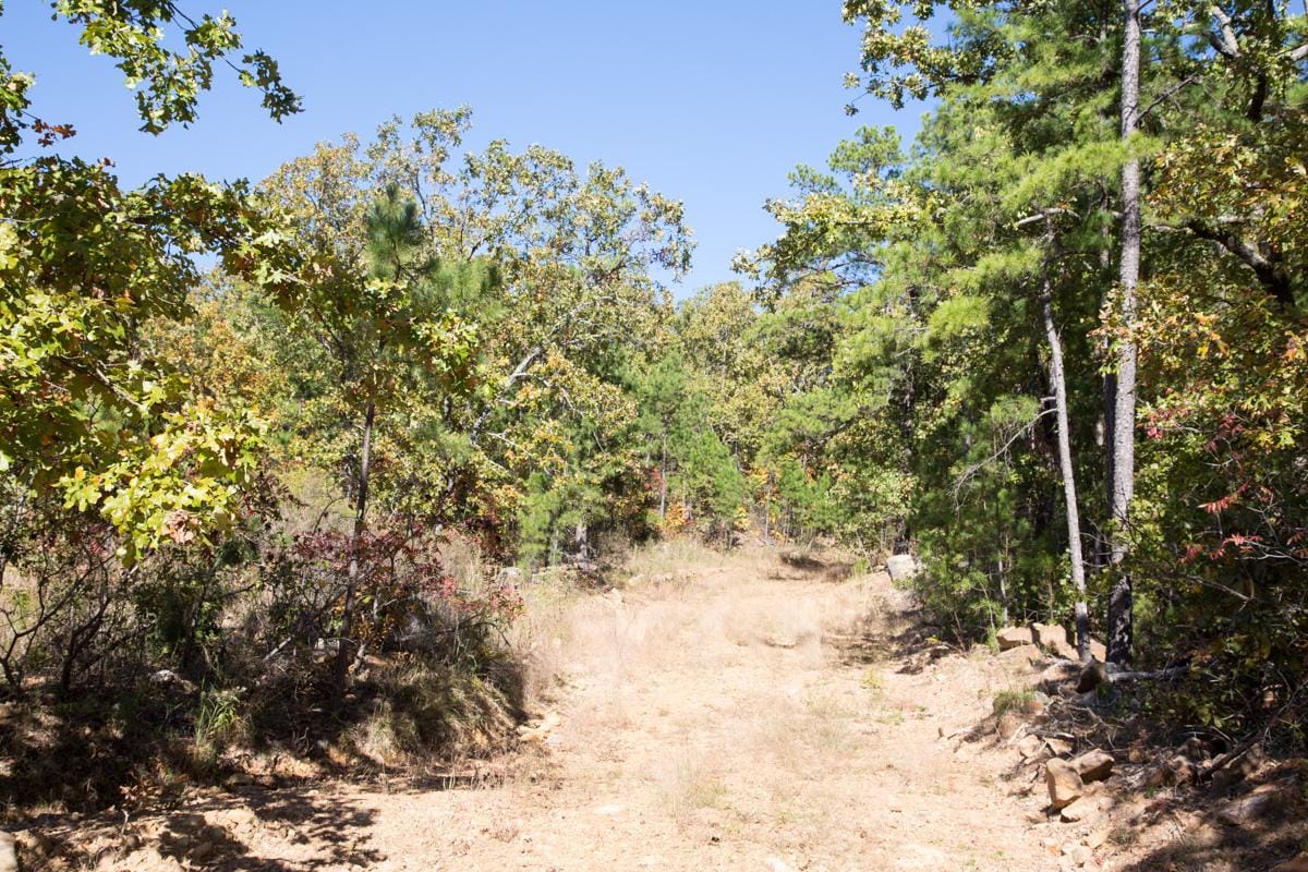 Stone Creek Phase I Tract 167 photo 9