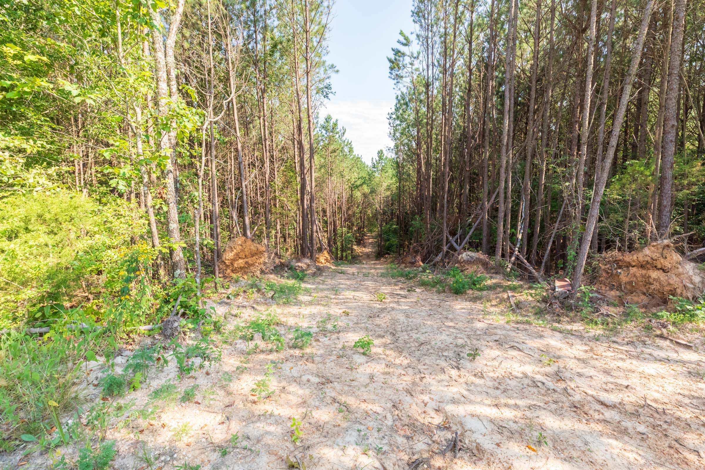 Whiskey Ridge Tract 113 photo 8