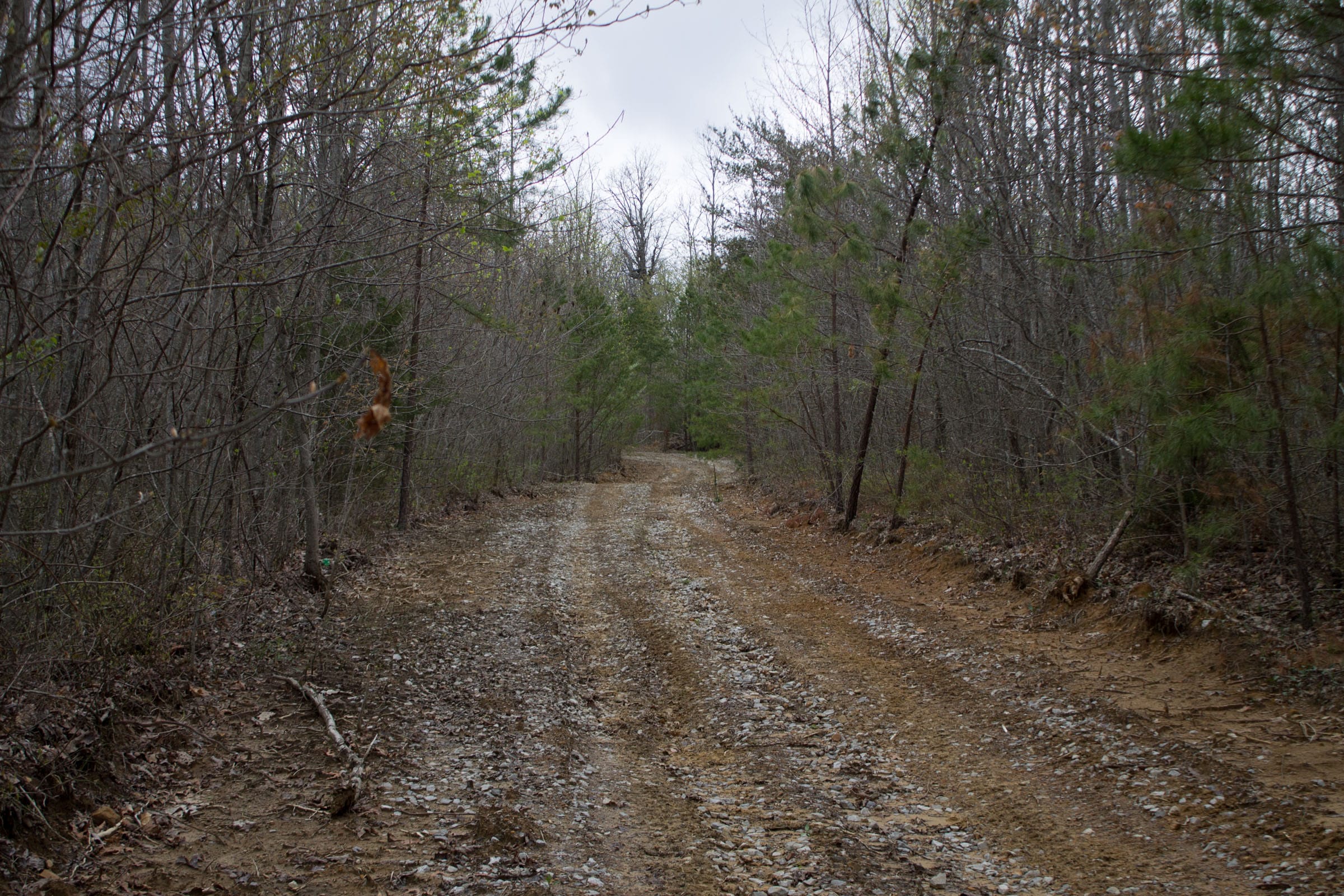 Hidden Hills Tract 39 photo 1