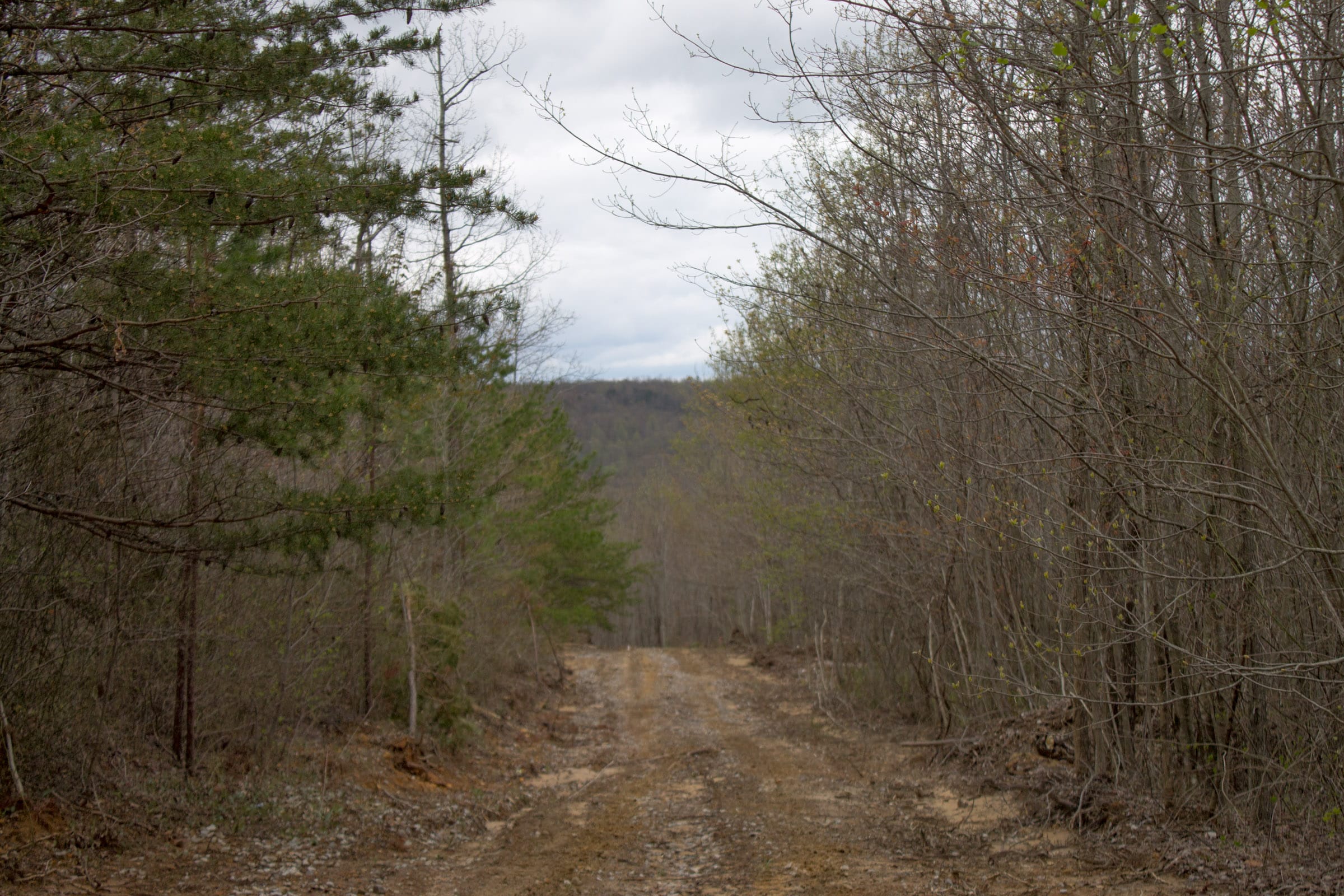Hidden Hills Tract 39 photo 2