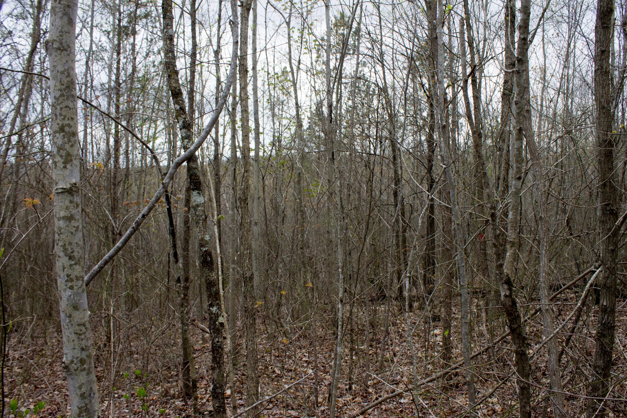Hidden Hills Tract 39 photo 5