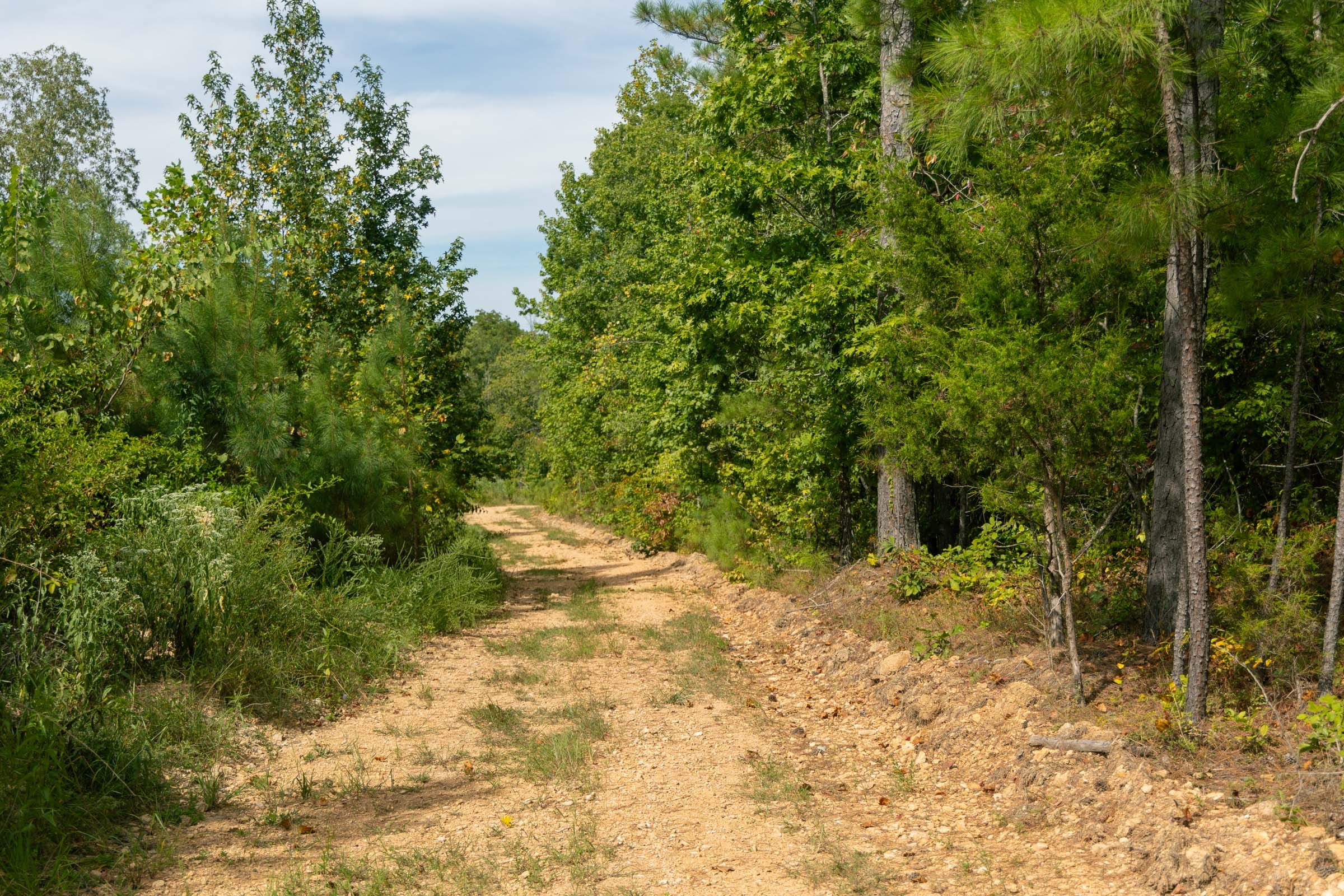 Big White Oak Tract 31 photo 2