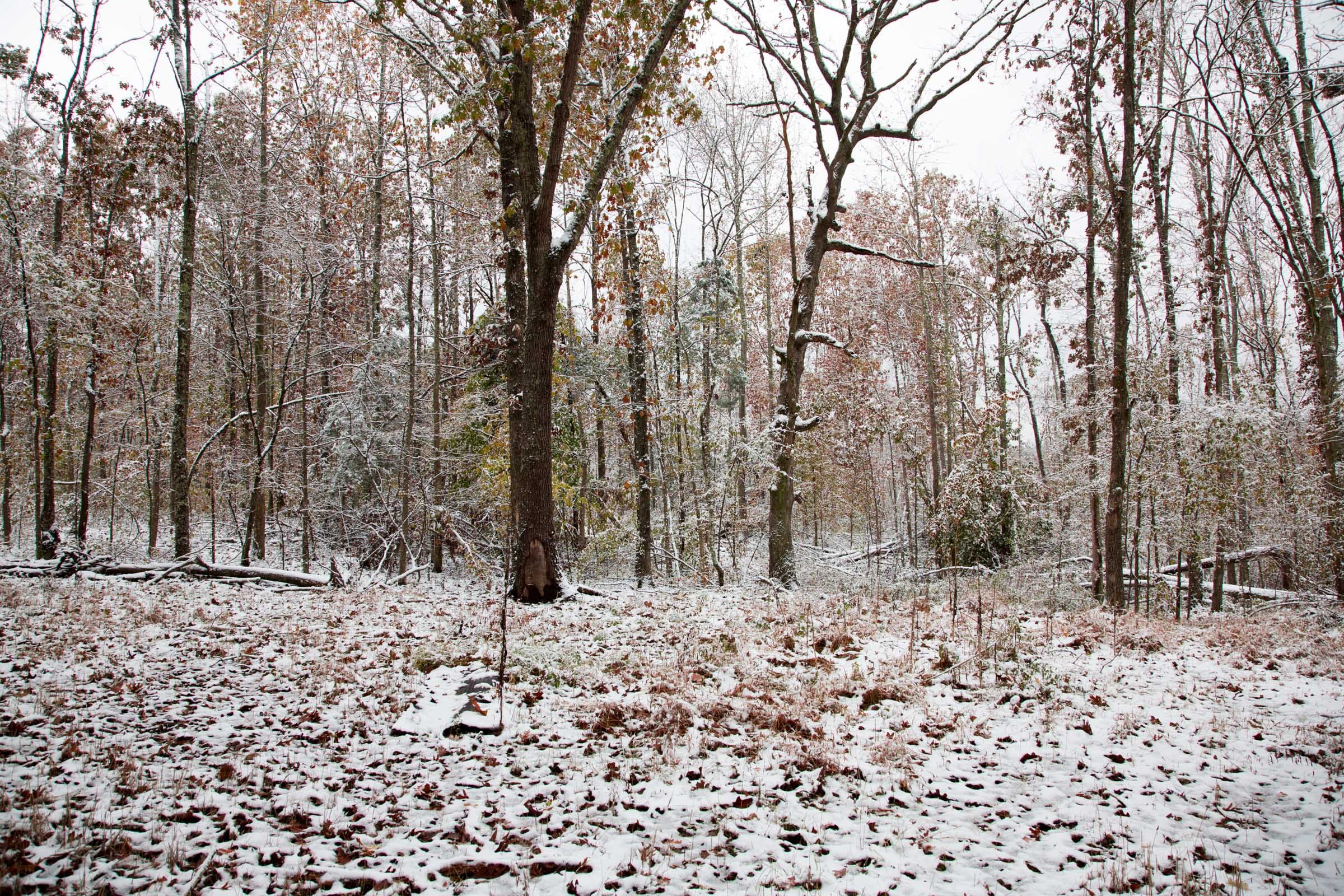 Sweet Water Ranch Tract 1 photo 2