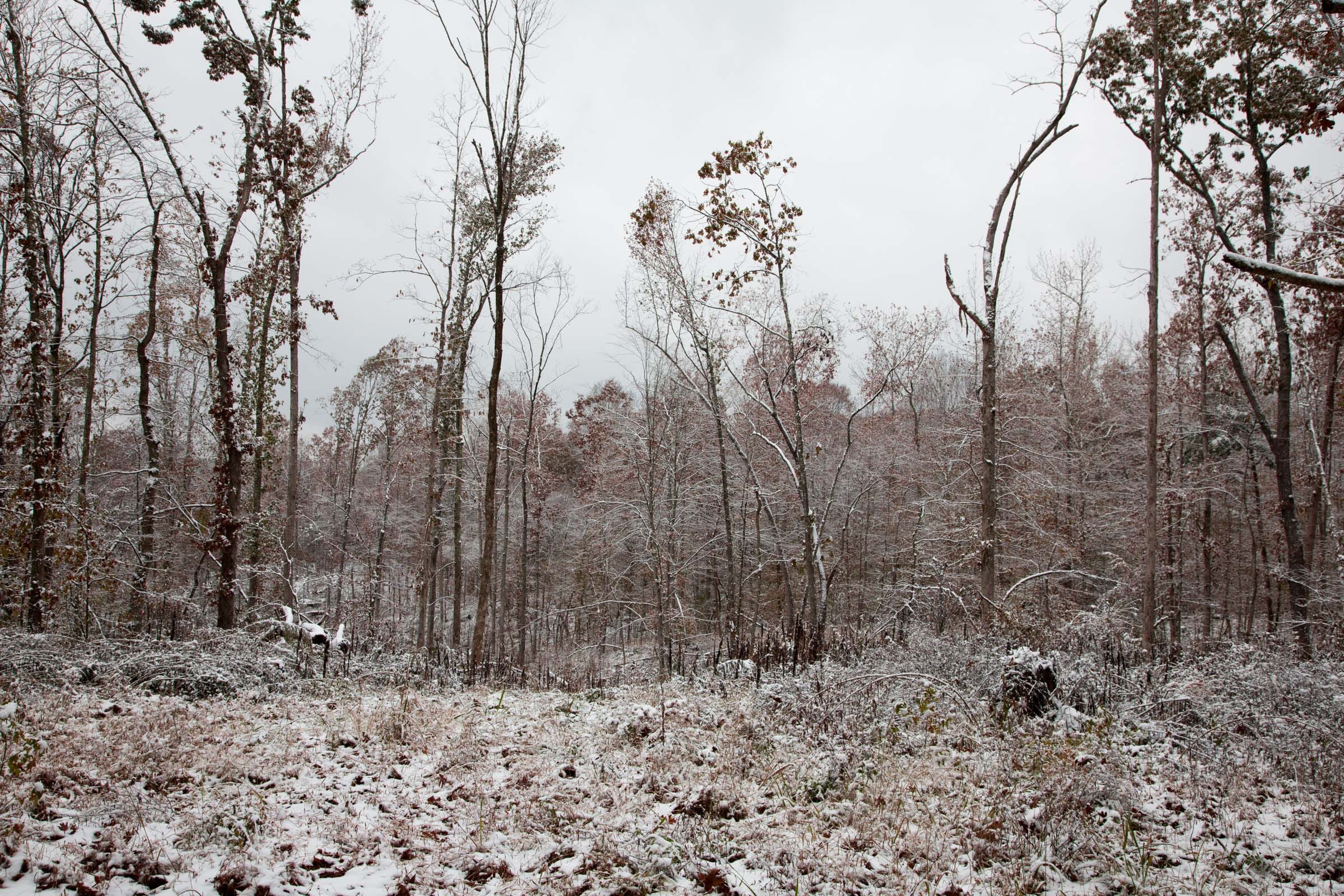 Sweet Water Ranch Tract 1 photo 3