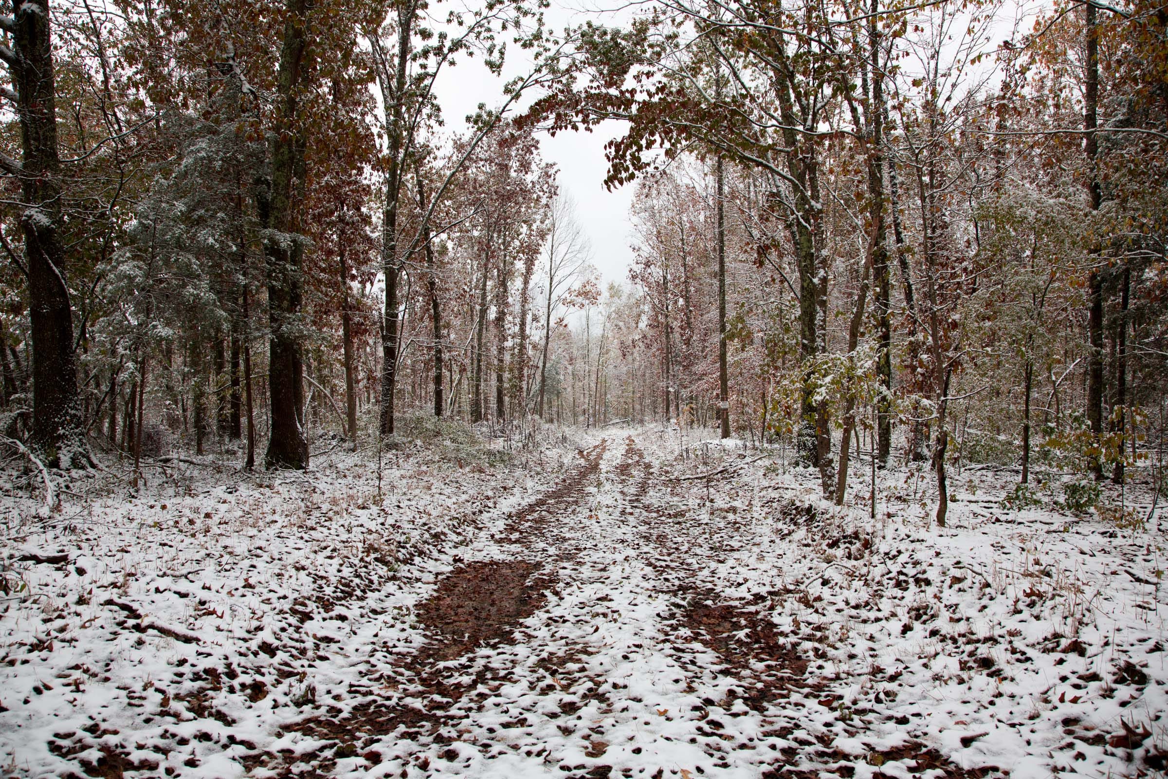 Sweet Water Ranch Tract 1 photo 4