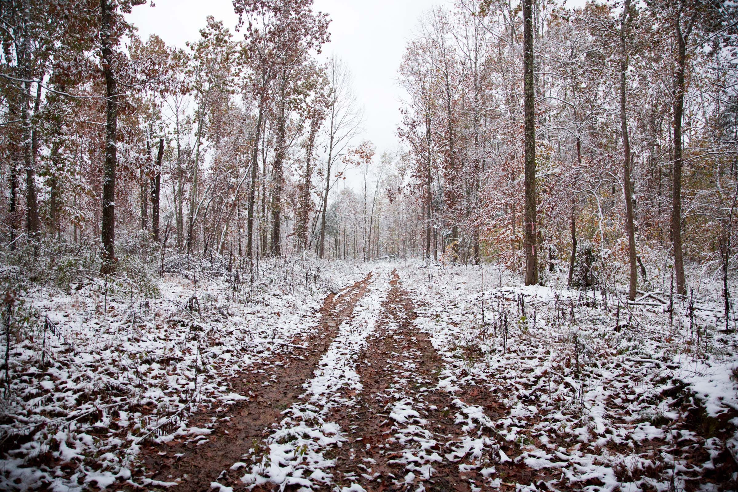 Sweet Water Ranch Tract 1 photo 5