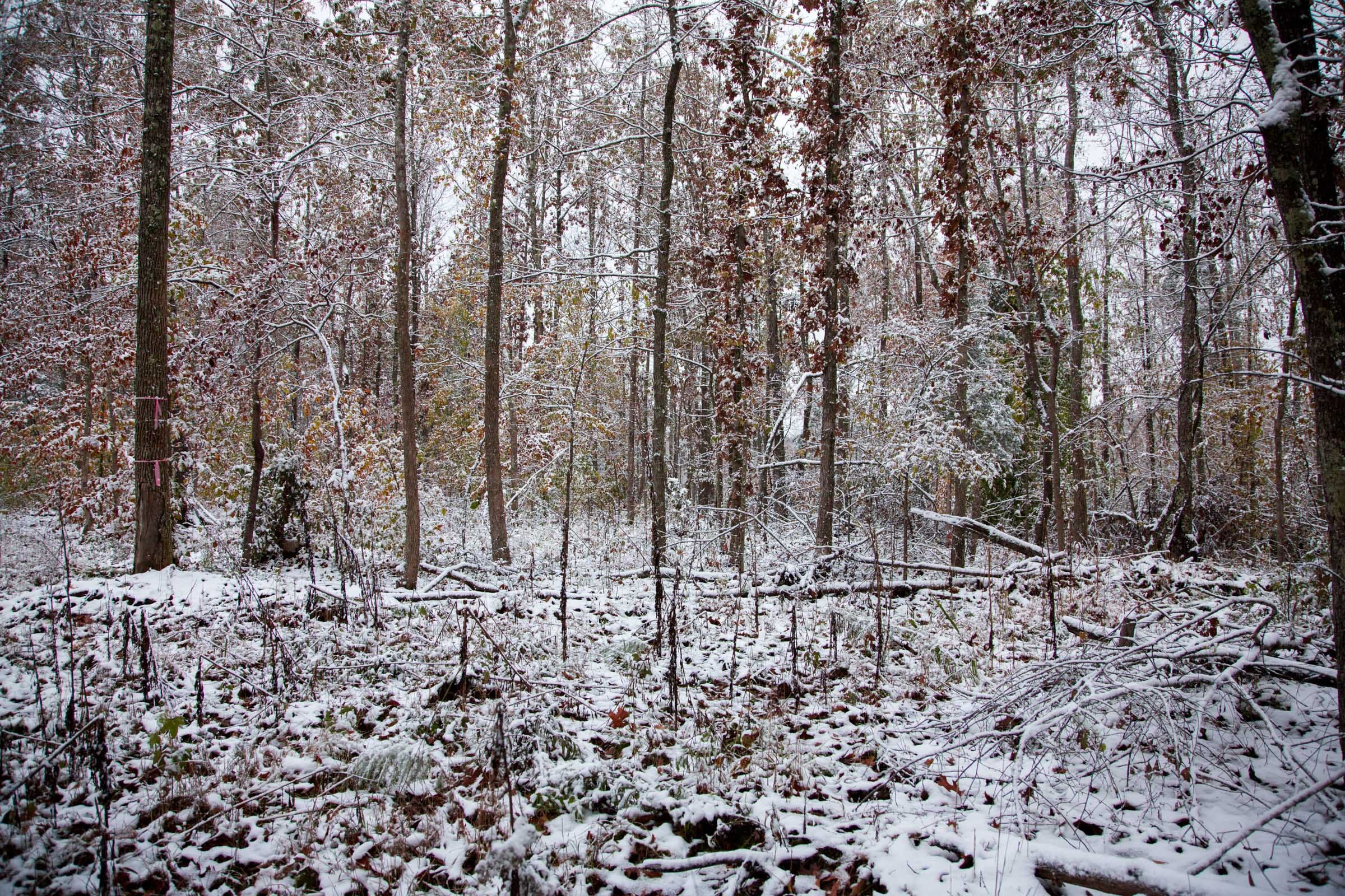 Sweet Water Ranch Tract 1 photo 6