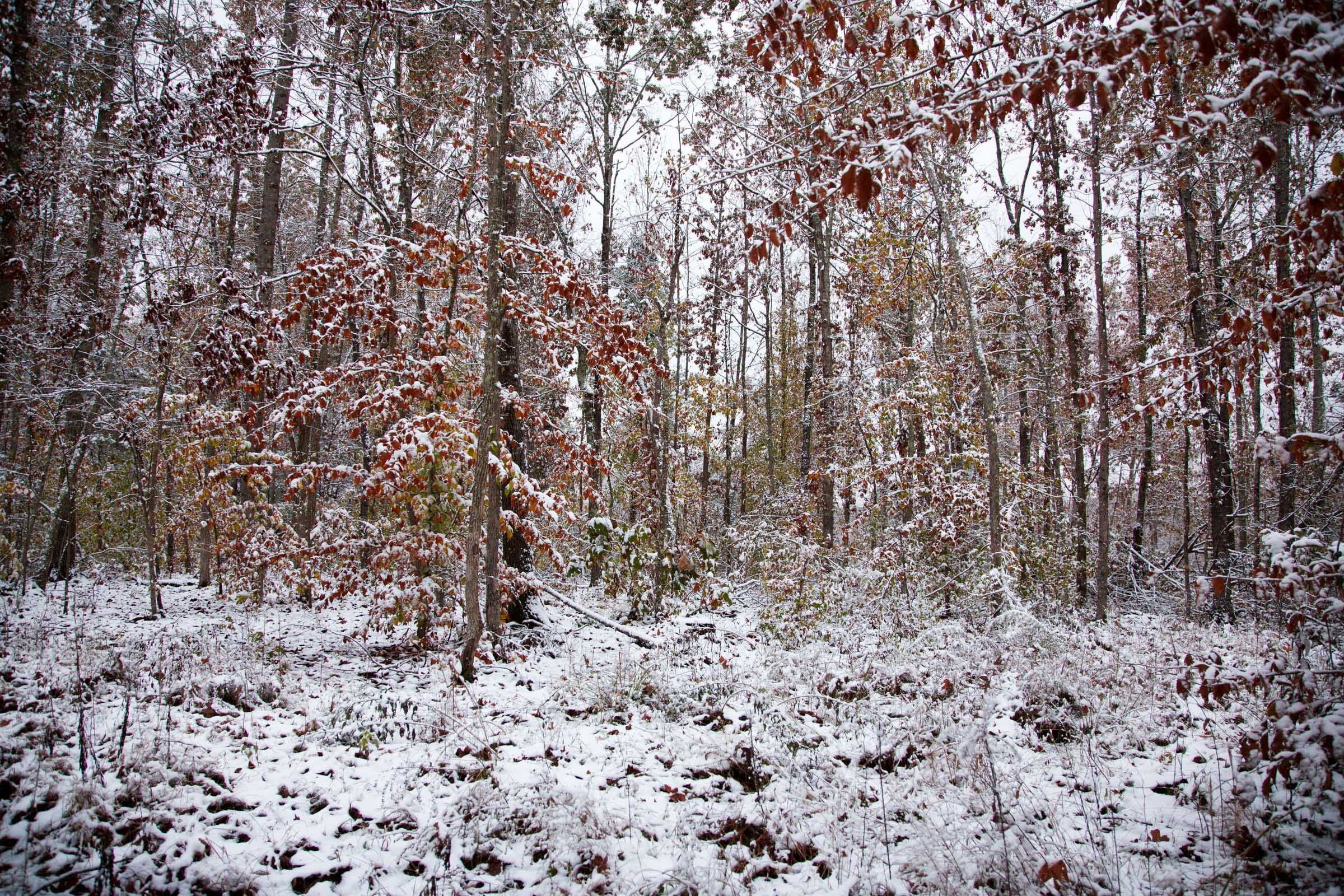 Sweet Water Ranch Tract 1 photo 7