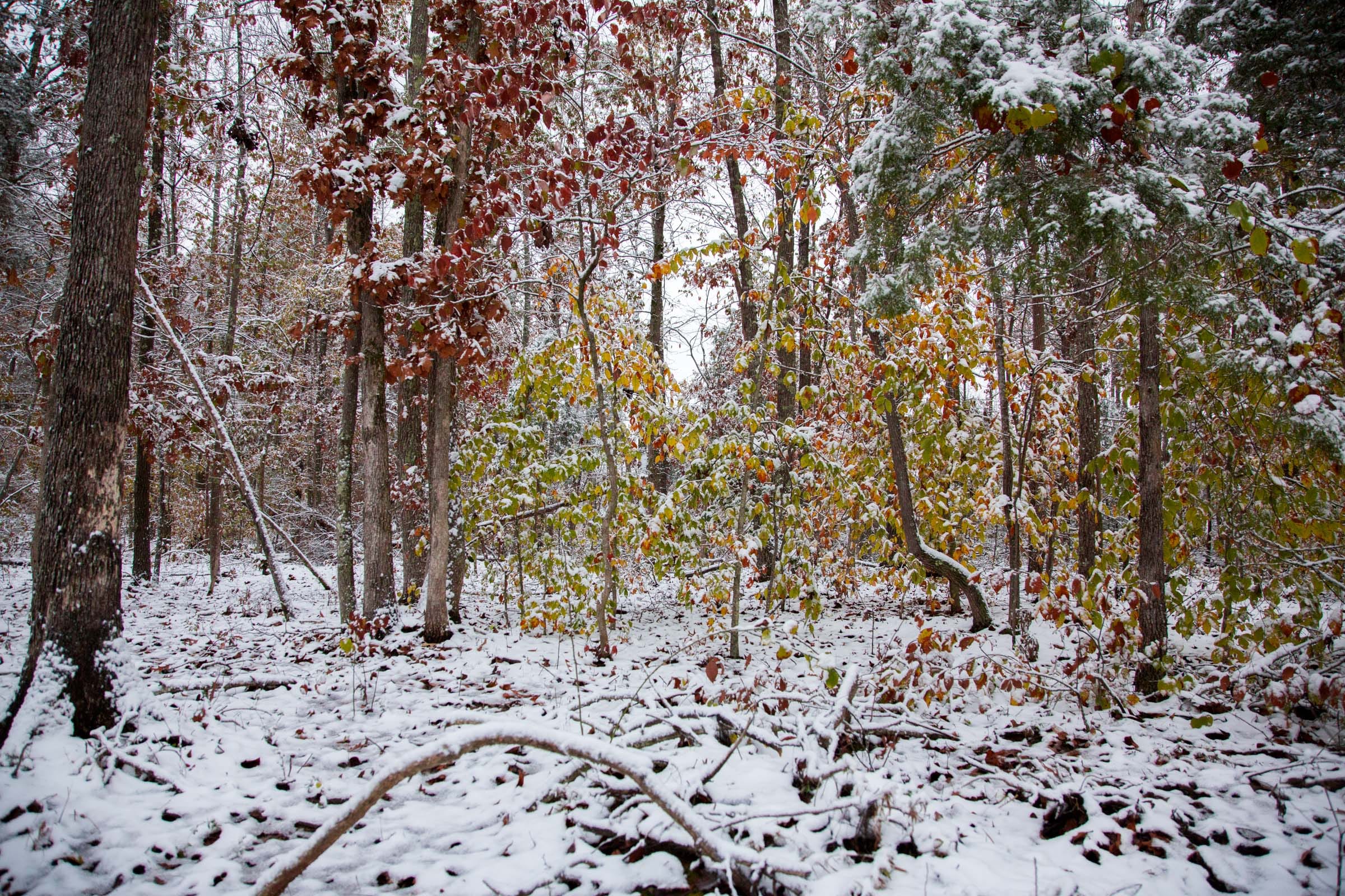 Sweet Water Ranch Tract 1 photo 8