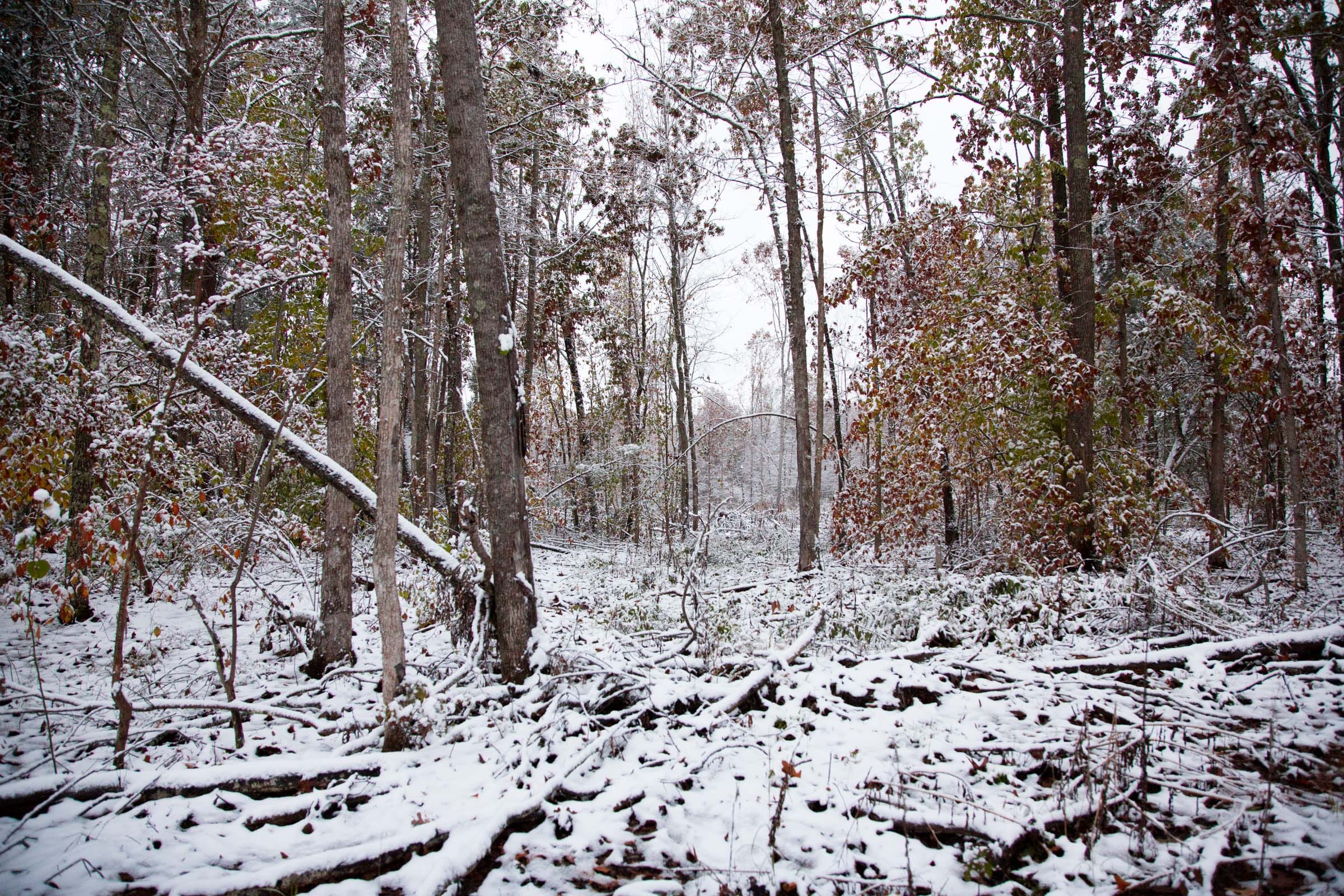 Sweet Water Ranch Tract 1 photo 10