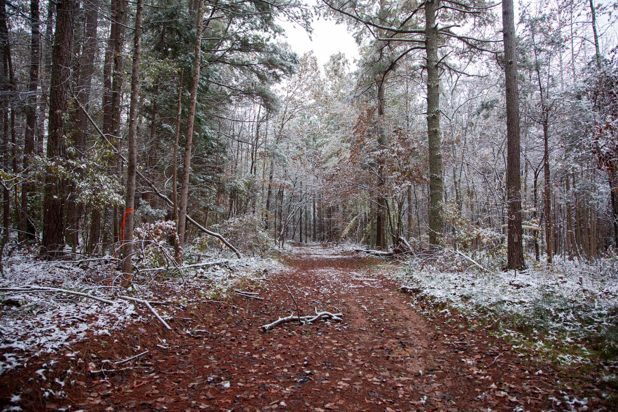 Sweet Water Ranch Tract 1 photo 11