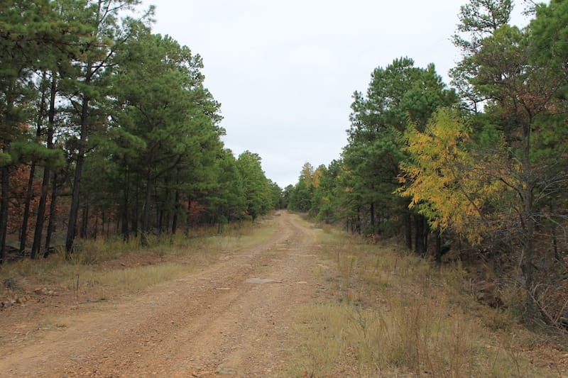 Indian Ridge – Phase I Tract 14 photo 2