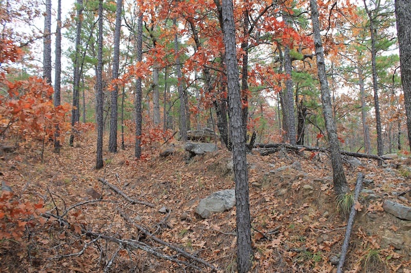 Indian Ridge – Phase I Tract 14 photo 3
