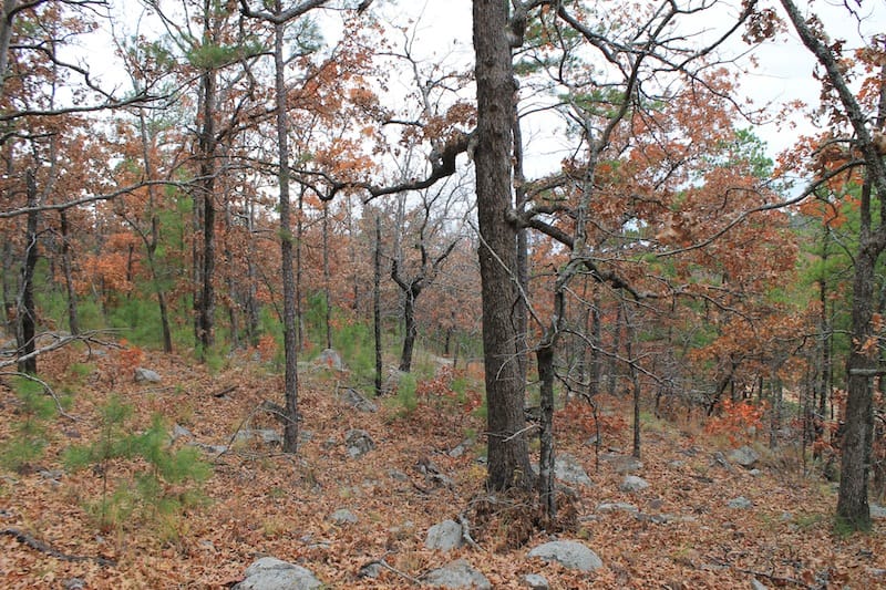 Indian Ridge – Phase I Tract 14 photo 4