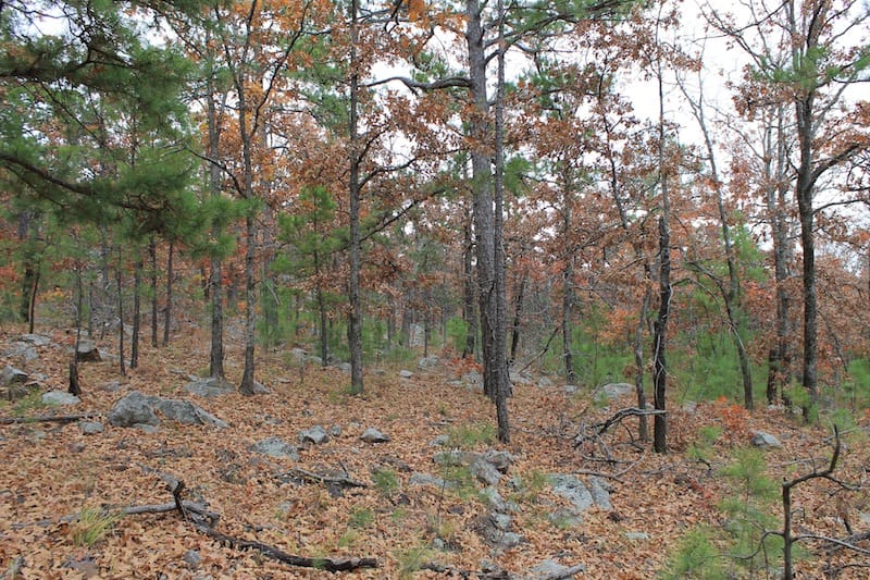 Indian Ridge – Phase I Tract 14 photo 5