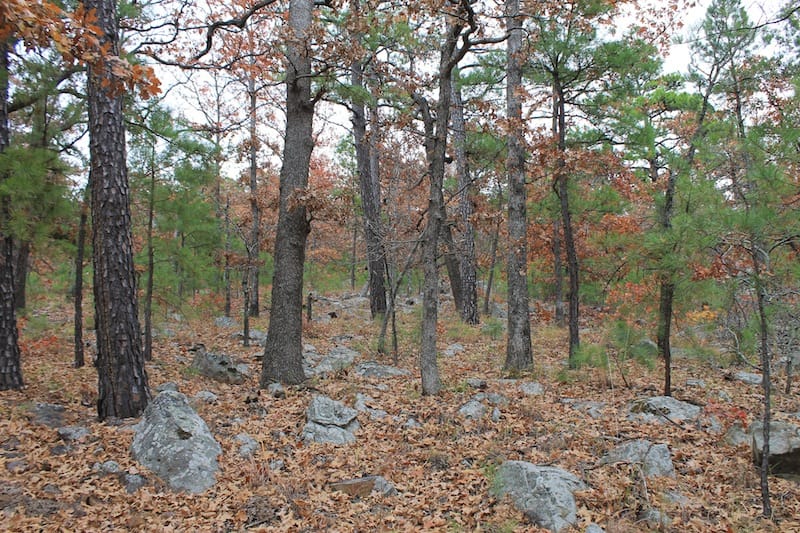 Indian Ridge – Phase I Tract 14 photo 7