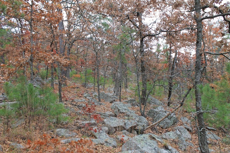 Indian Ridge – Phase I Tract 14 photo 8