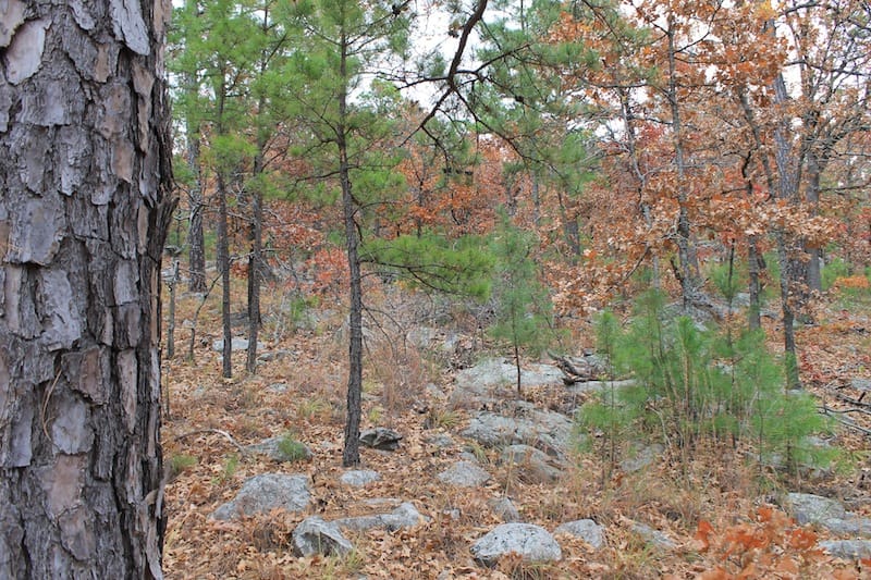 Indian Ridge – Phase I Tract 14 photo 9