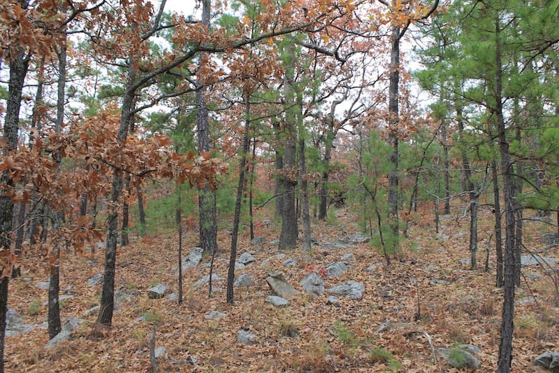 Indian Ridge – Phase I Tract 14 photo 10