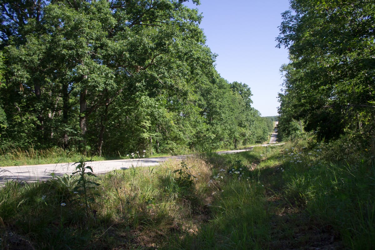 Timber Crossing Tract 3 photo 1
