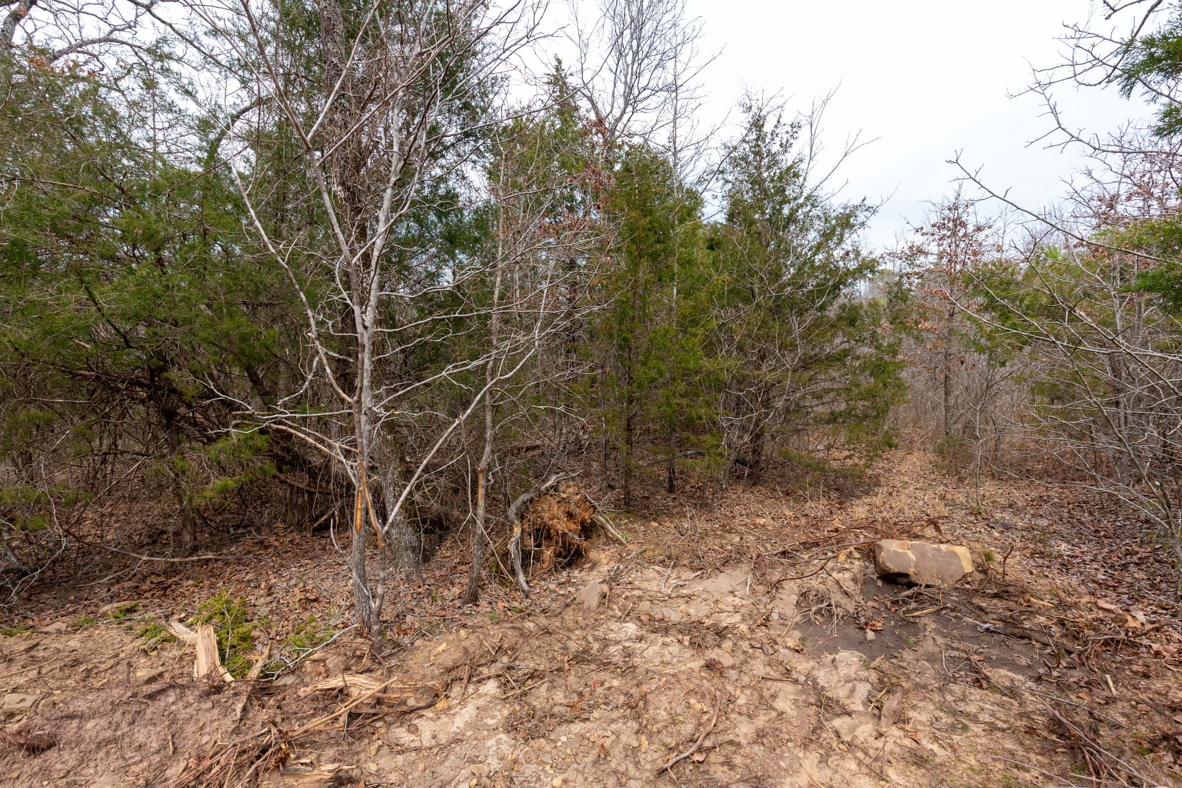 Stone Bridge Phase III Tract 147 photo 6