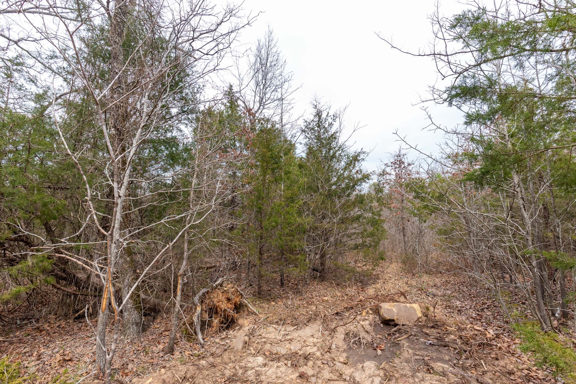 Stone Bridge Phase III Tract 147 photo 7
