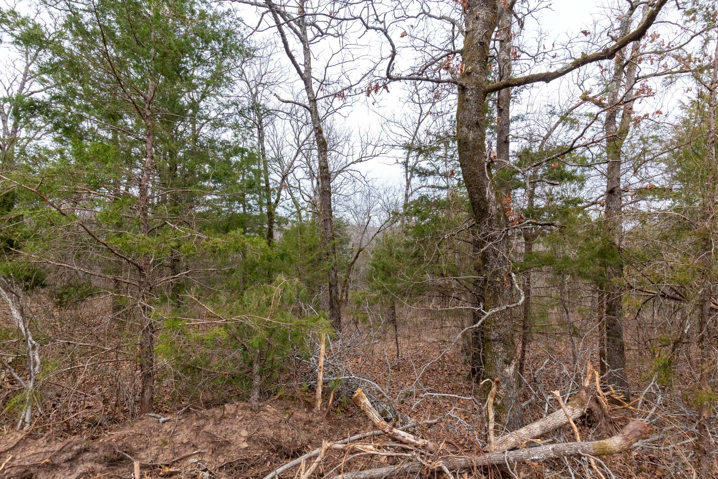 Stone Bridge Phase III Tract 147 photo 8