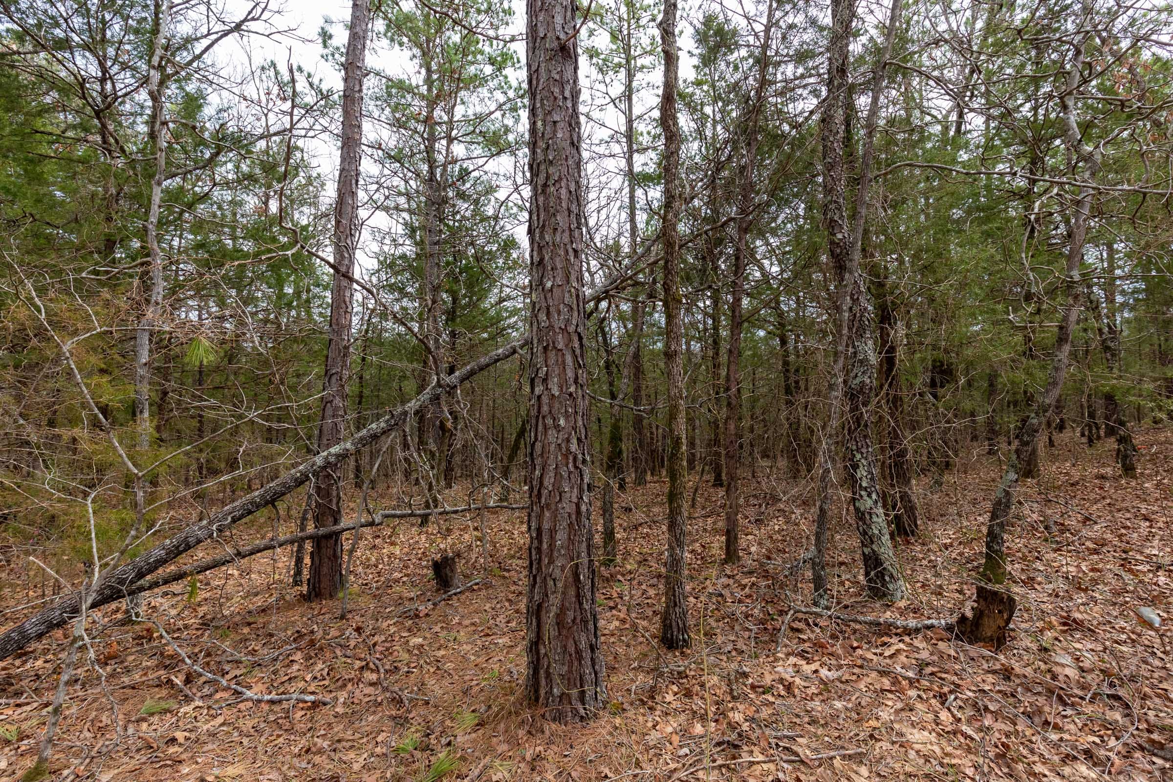 Stone Bridge Phase III Tract 147 photo 11