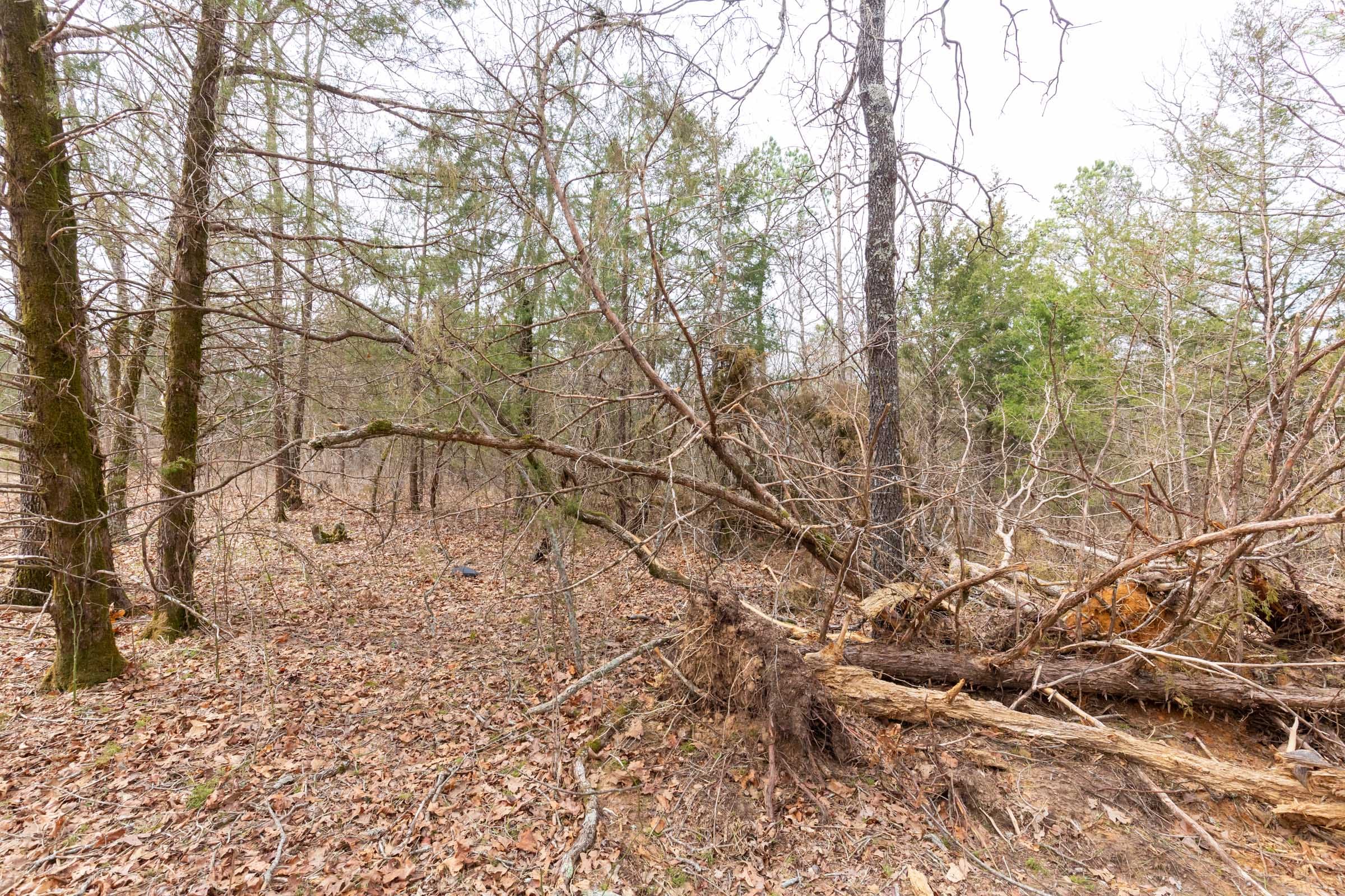 Stone Bridge Phase III Tract 147 photo 12