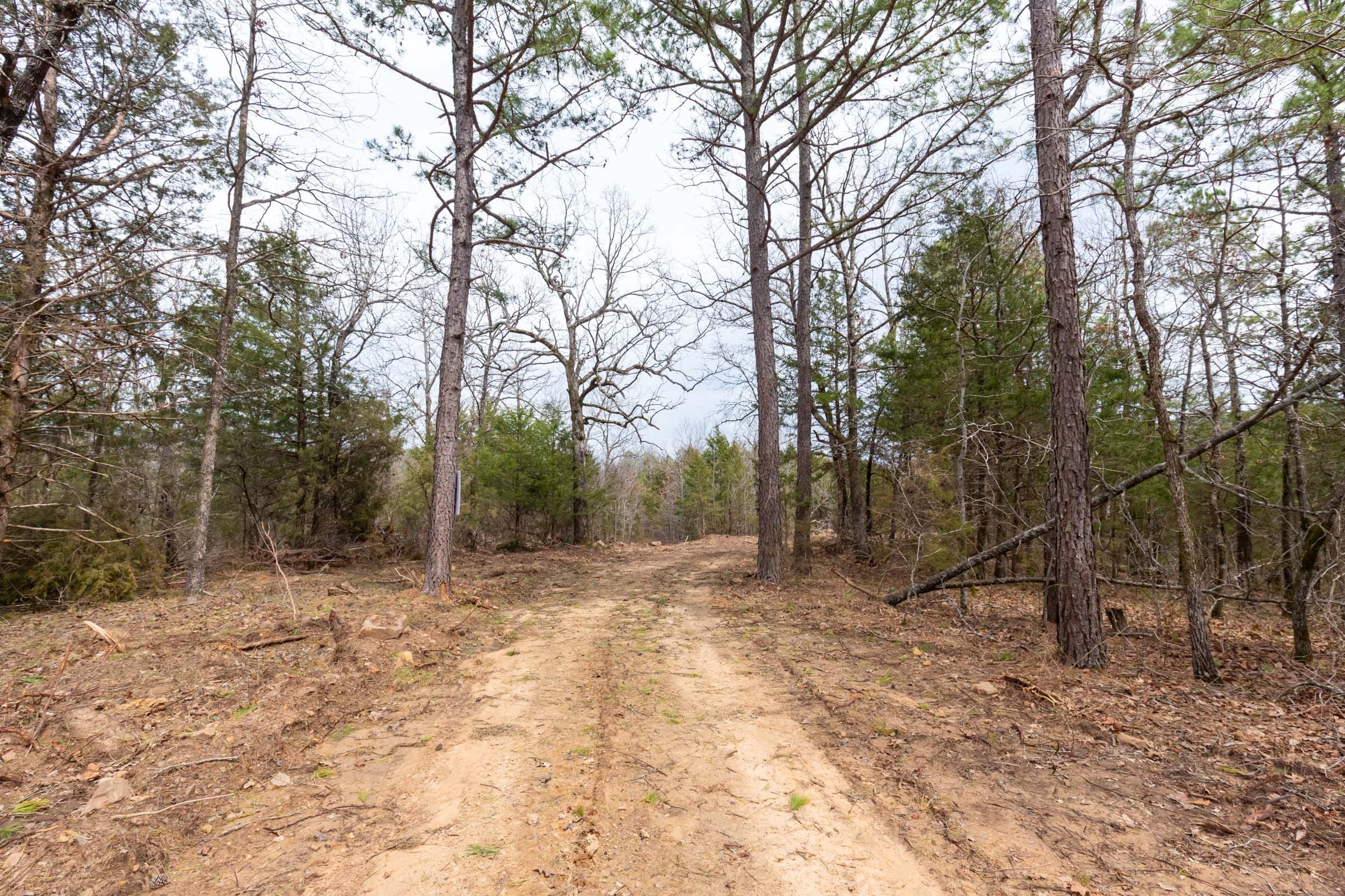 Stone Bridge Phase III Tract 147 photo 9