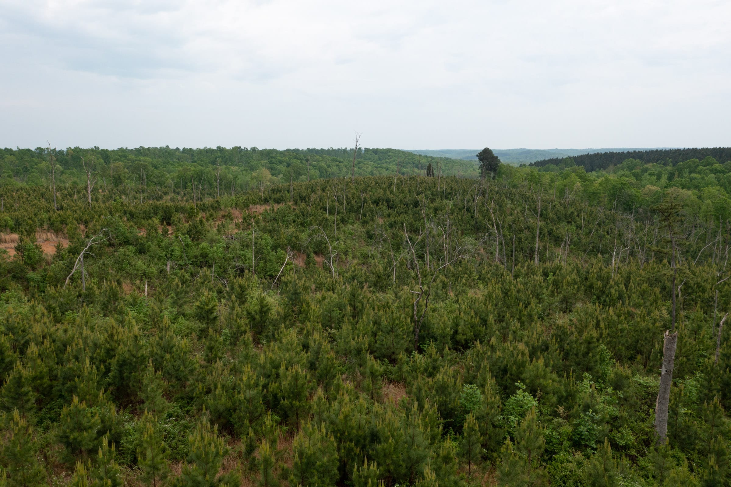 Red Barn Ranch Tract 19 photo 2