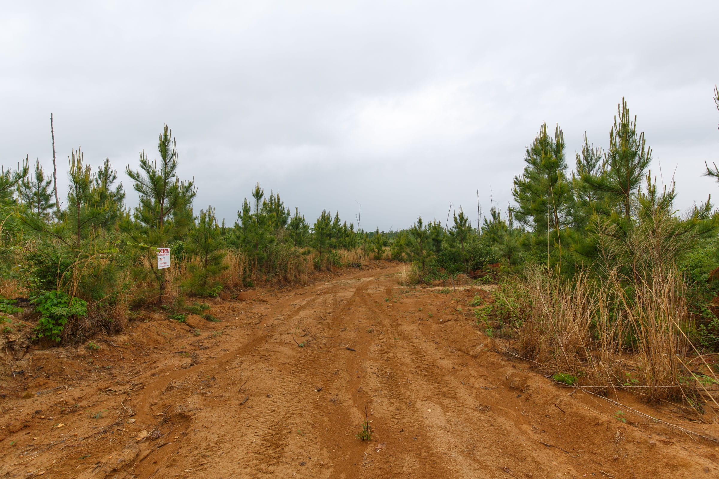 Red Barn Ranch Tract 19 photo 4