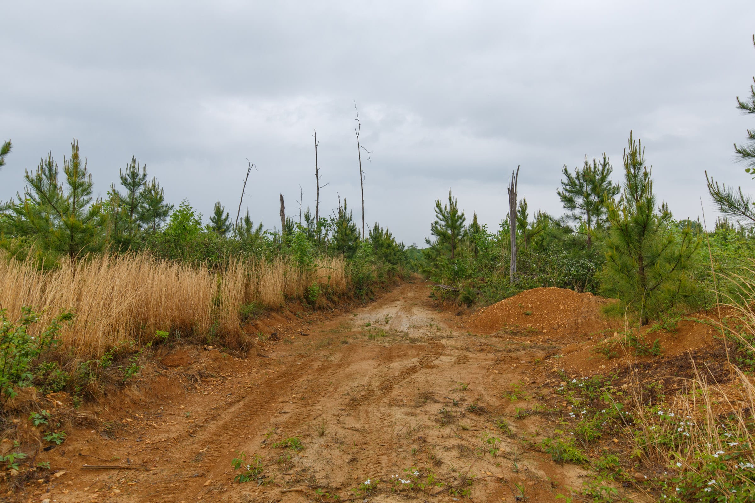 Red Barn Ranch Tract 19 photo 6