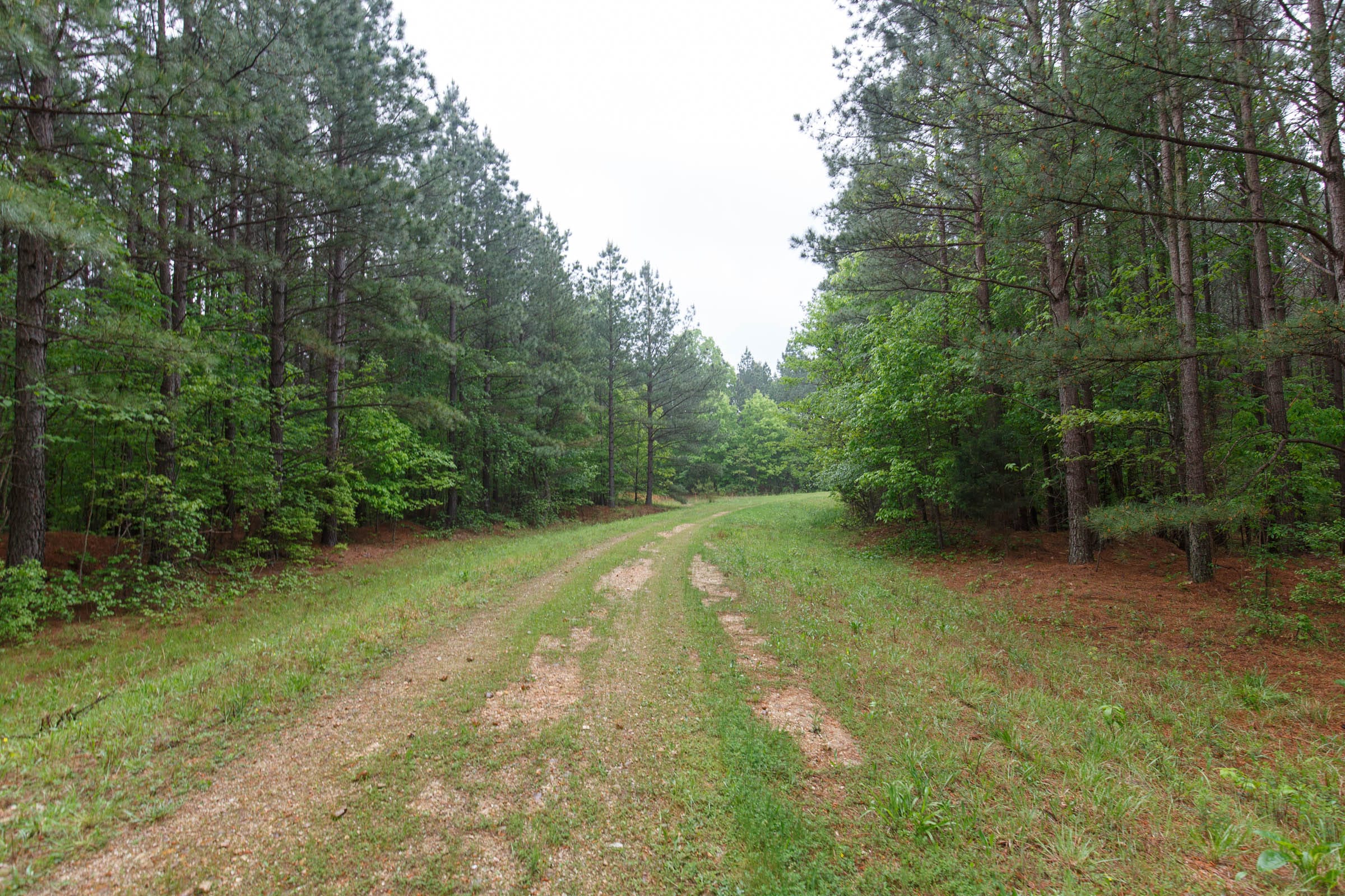 Red Barn Ranch Tract 19 photo 1