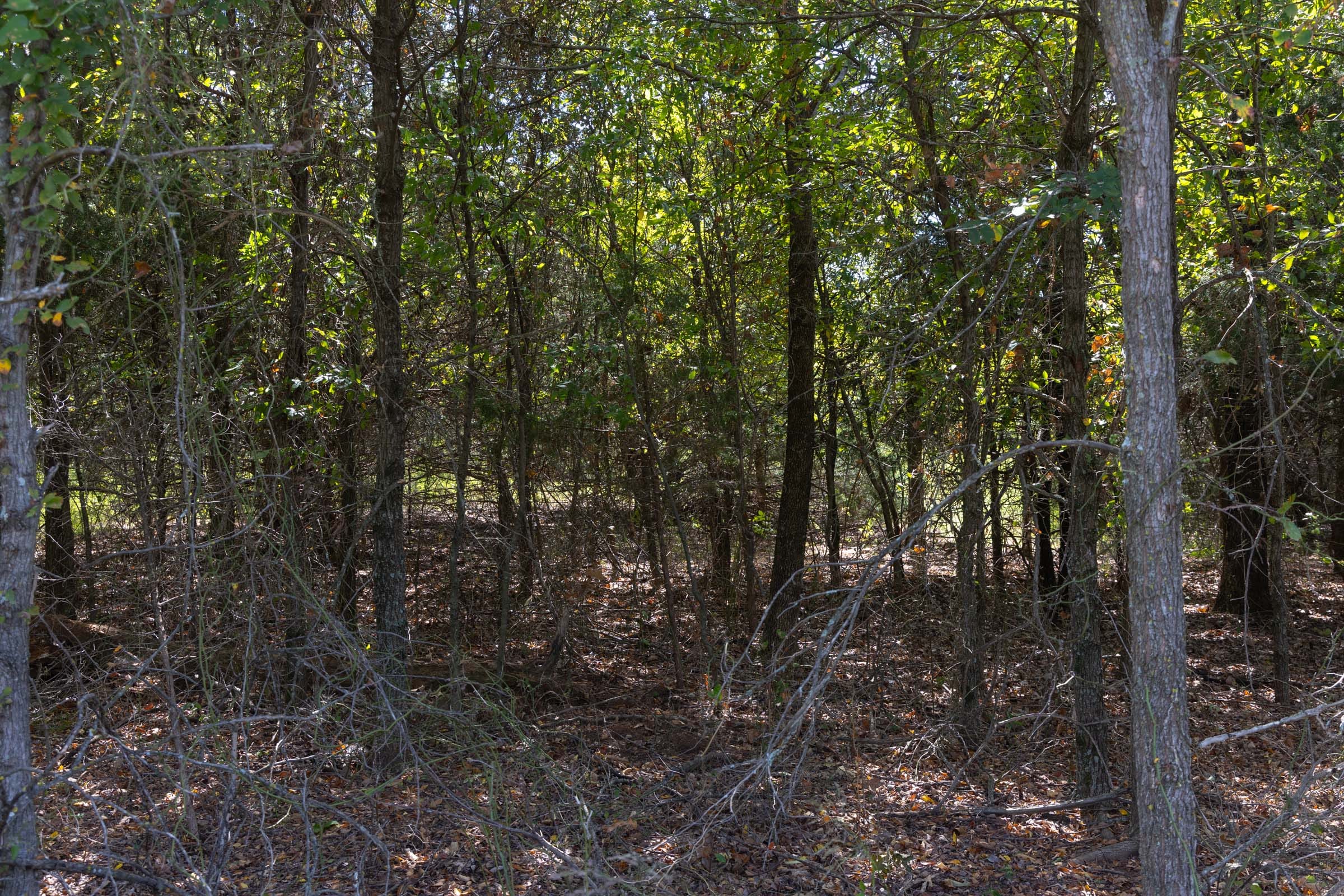 Reserves At Cattail Cove Phase II Tract 58 photo 7