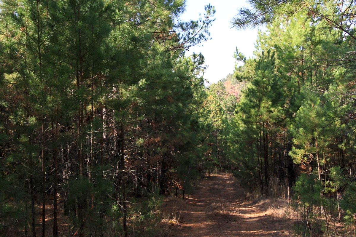 Stone Creek Phase III Tract 7 photo 1